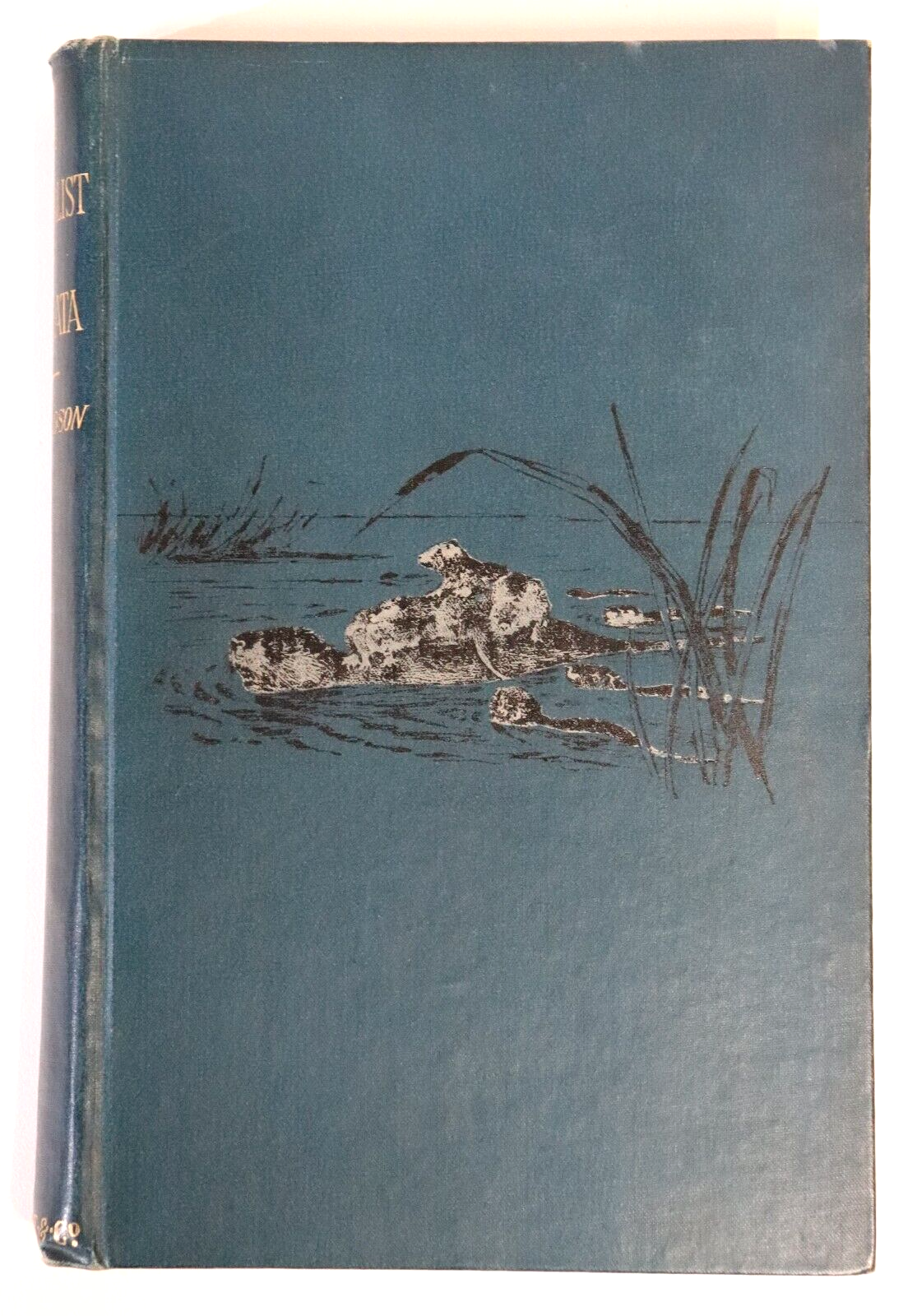 The Naturalist In La Plata by WH Hudson - 1895 - Antique Science & Nature Book - 0