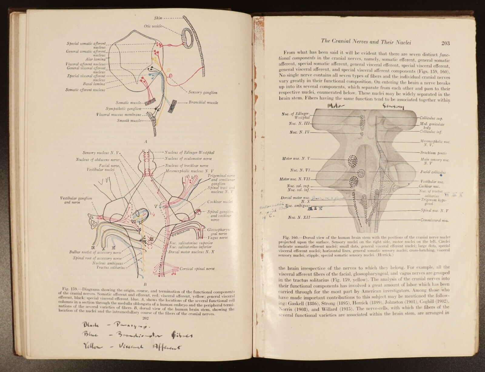 1947 Anatomy Of The Nervous System by S.W. Ranson Antique Medical Reference Book