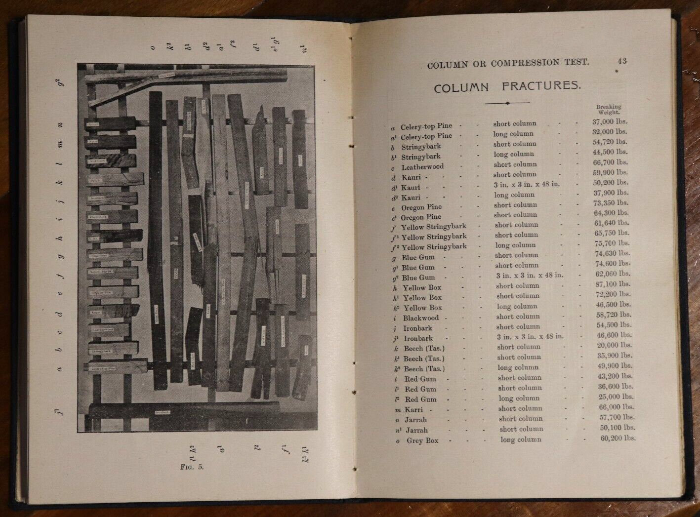 1900 Australian Timber by James Mann 1st Edition Australian History Book