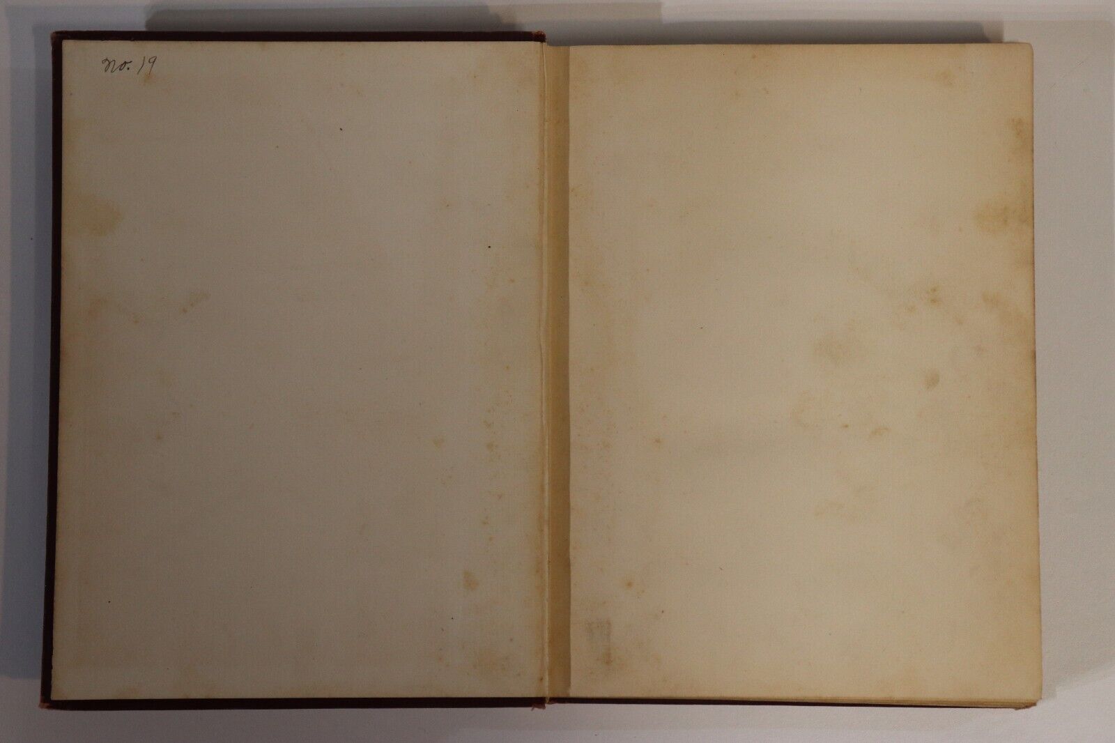 First Studies Of Plant Life by GF Atkinson - 1901 - Antique Natural History Book