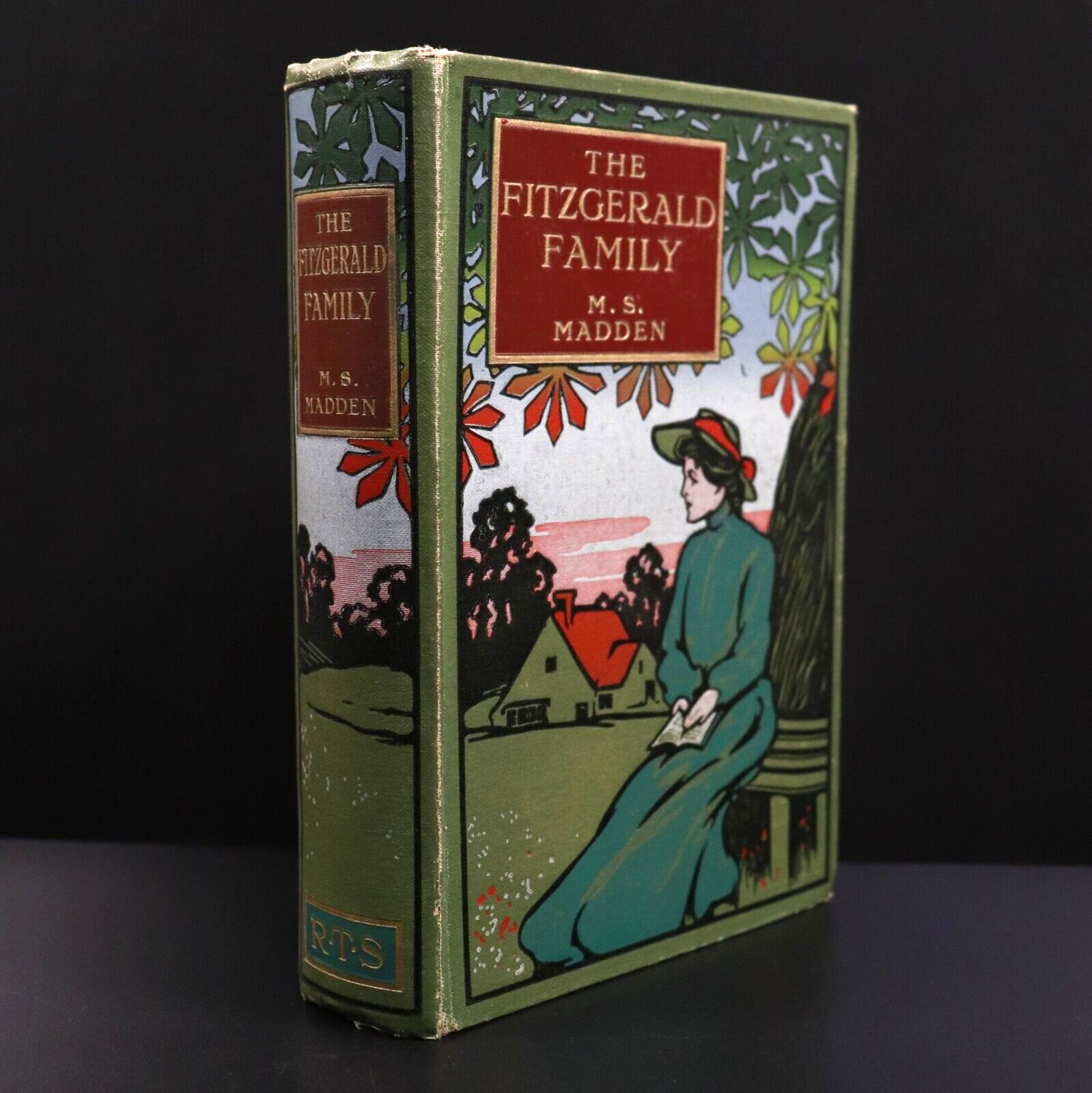 c1900 The Fitzgerald Family by M.S. Madden Antique British Fiction Book RTS