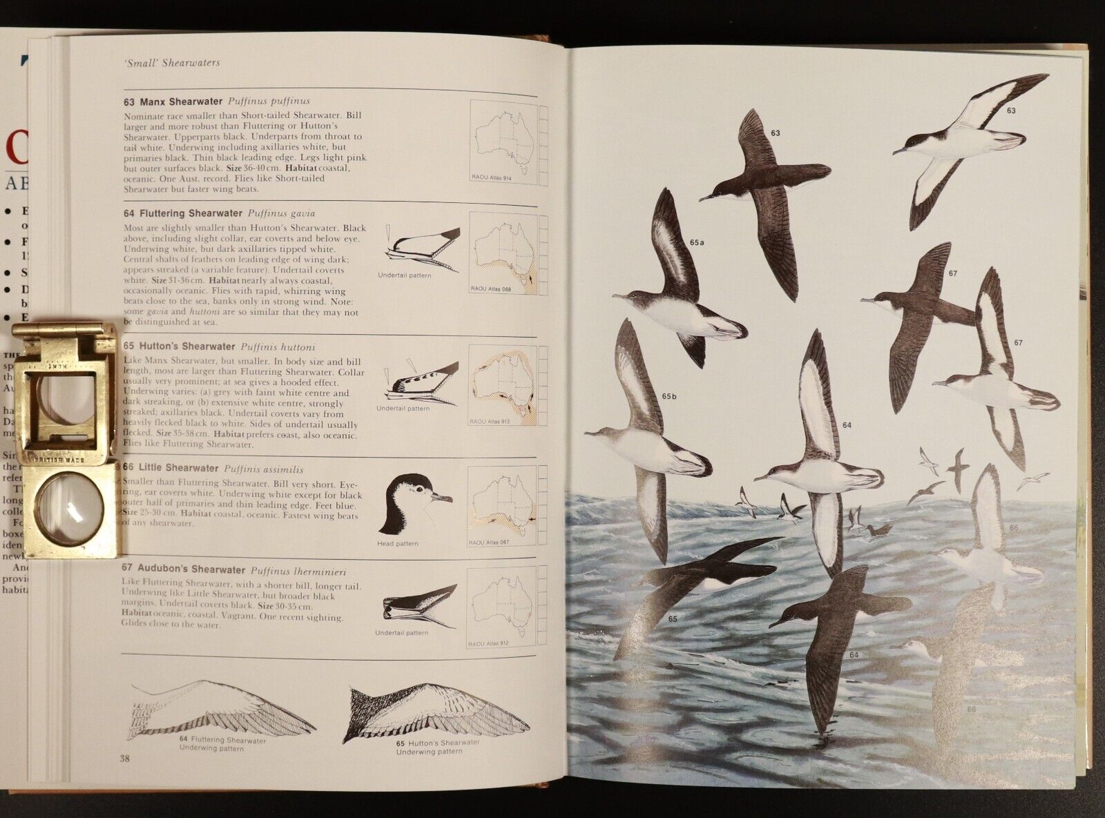1986 Birds Of Australia by Ken Simpson Illustrated Wildlife Reference Book