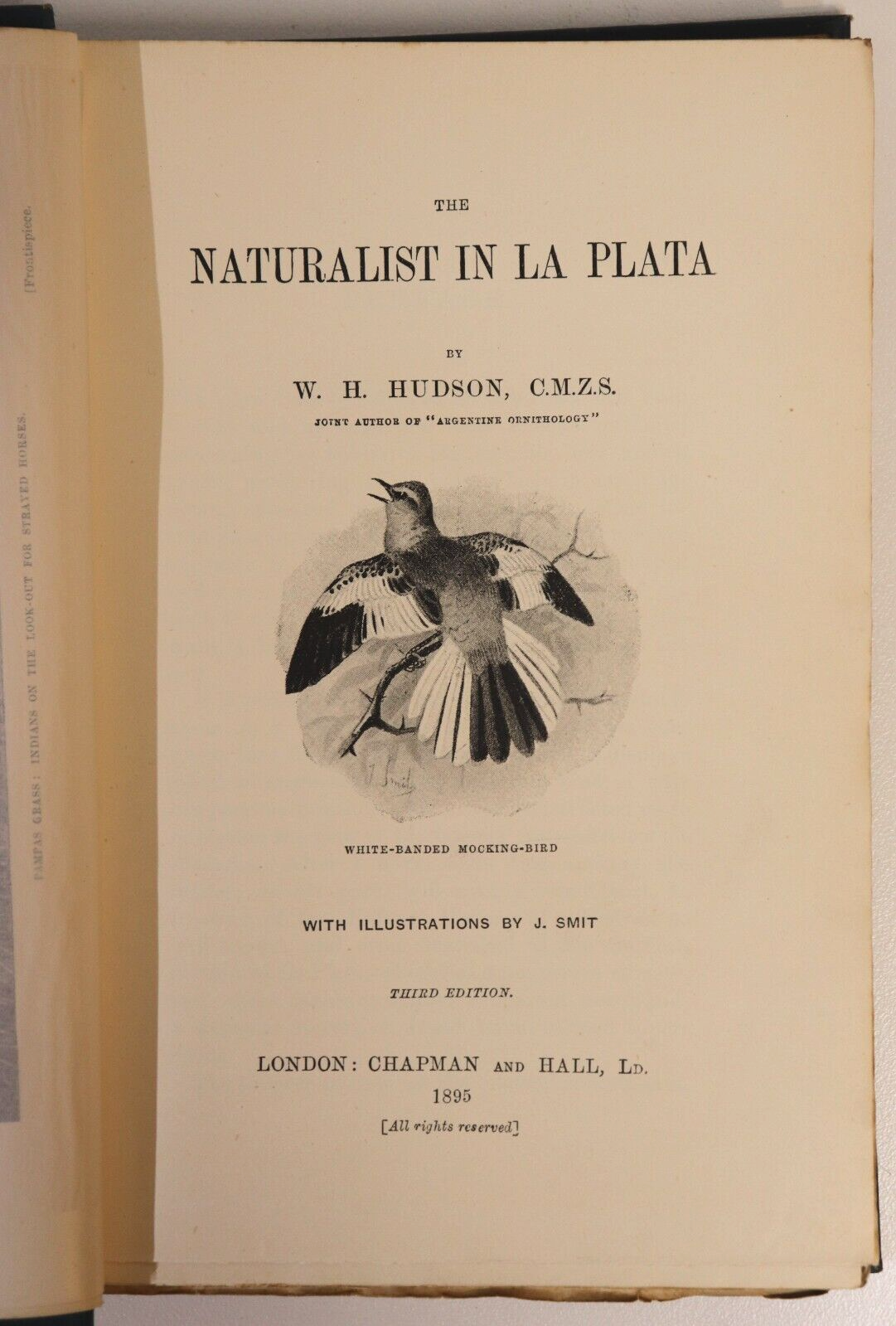 The Naturalist In La Plata by WH Hudson - 1895 - Antique Science & Nature Book