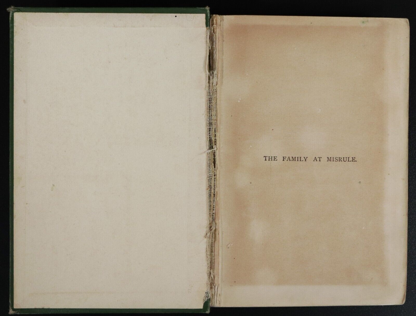 c1895 The Family At Misrule by Ethel Turner Antique Australian Fiction Book