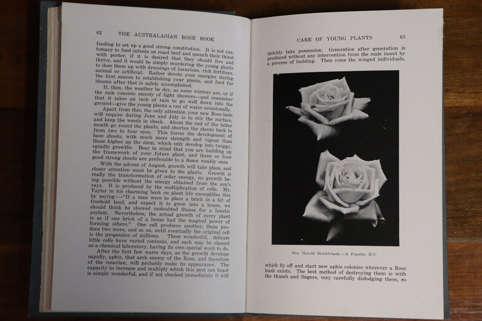 c1920 The Australasian Rose Book R.G. Elliott 1st Ed Gardening Reference Book