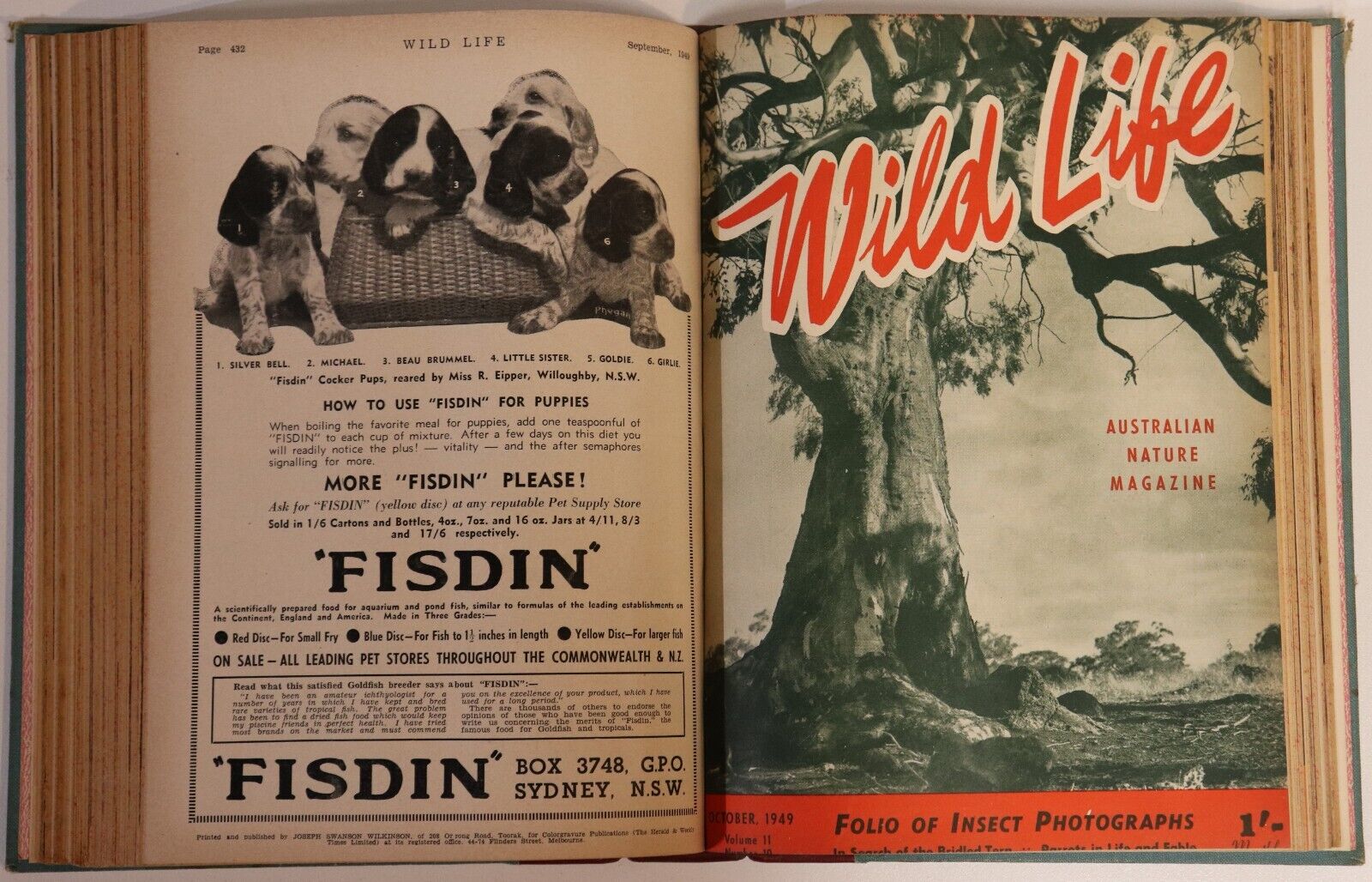 Wildlife: Australian Nature Magazine - 1946 - Antique Natural History Books