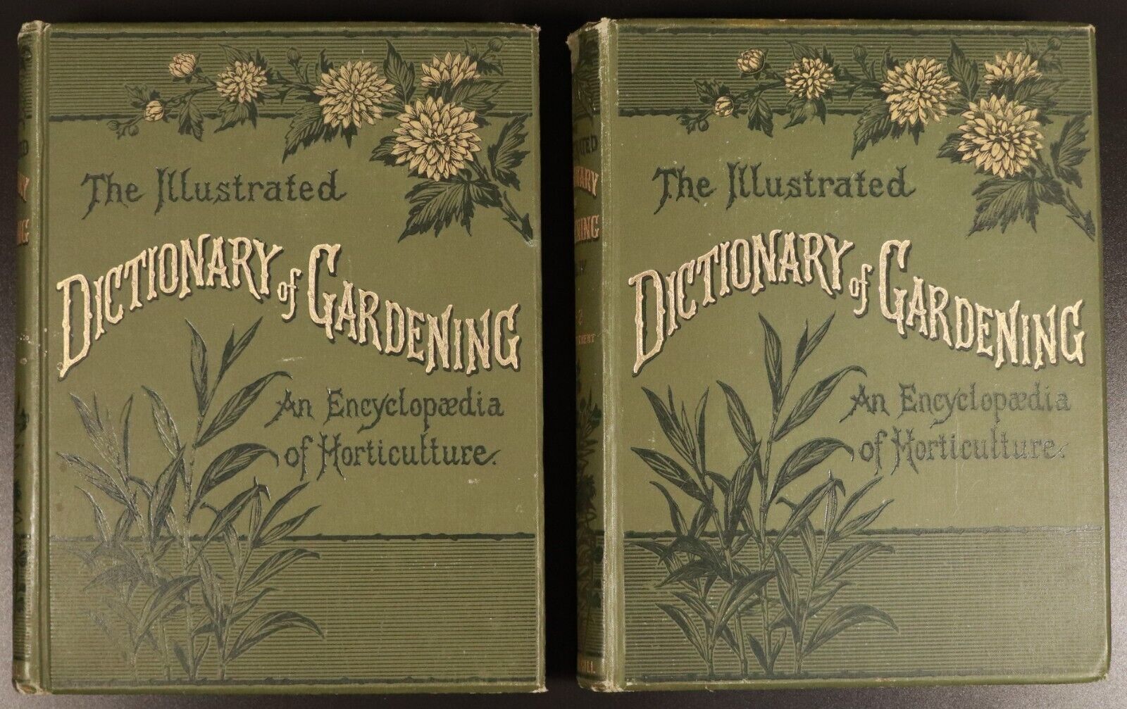 1888 4vol Illustrated Dictionary Of Gardening Antiquarian Gardening Book Set