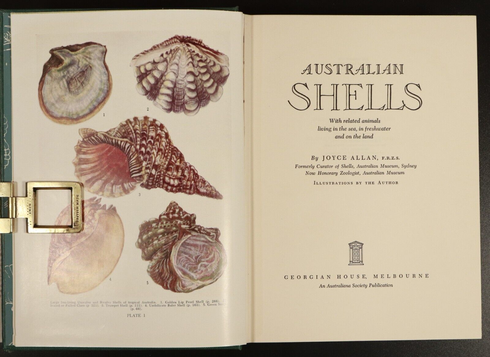 1962 Australian Shells by Joyce Allan Natural History Book Australia Illustrated