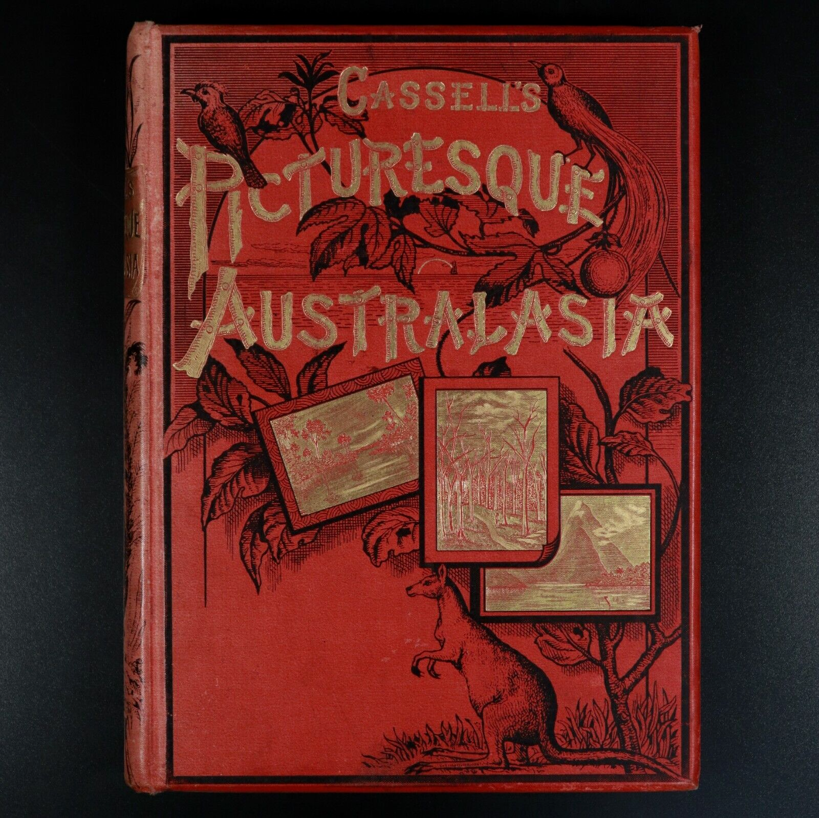 1887 Cassell's Picturesque Australasia Antiquarian Australian History Book - 0
