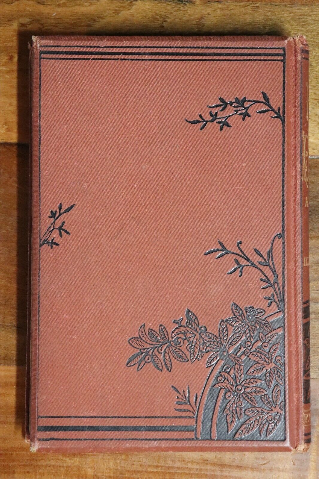 Her Benny by Silas K Hocking - c1879 - Antique Fiction Book