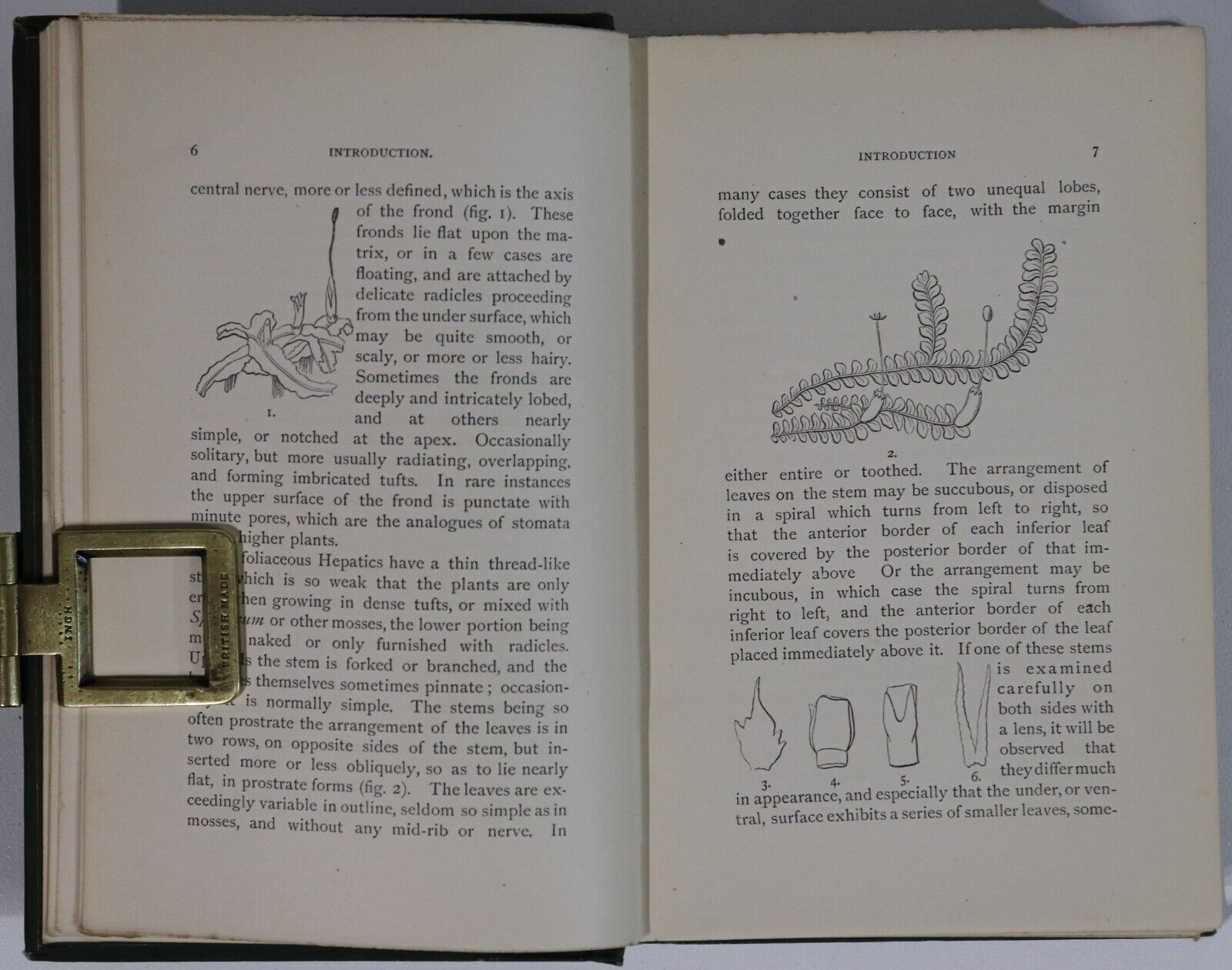 Handbook Of British Hepaticae by M. Cooke - 1894 - Antique Natural History Book