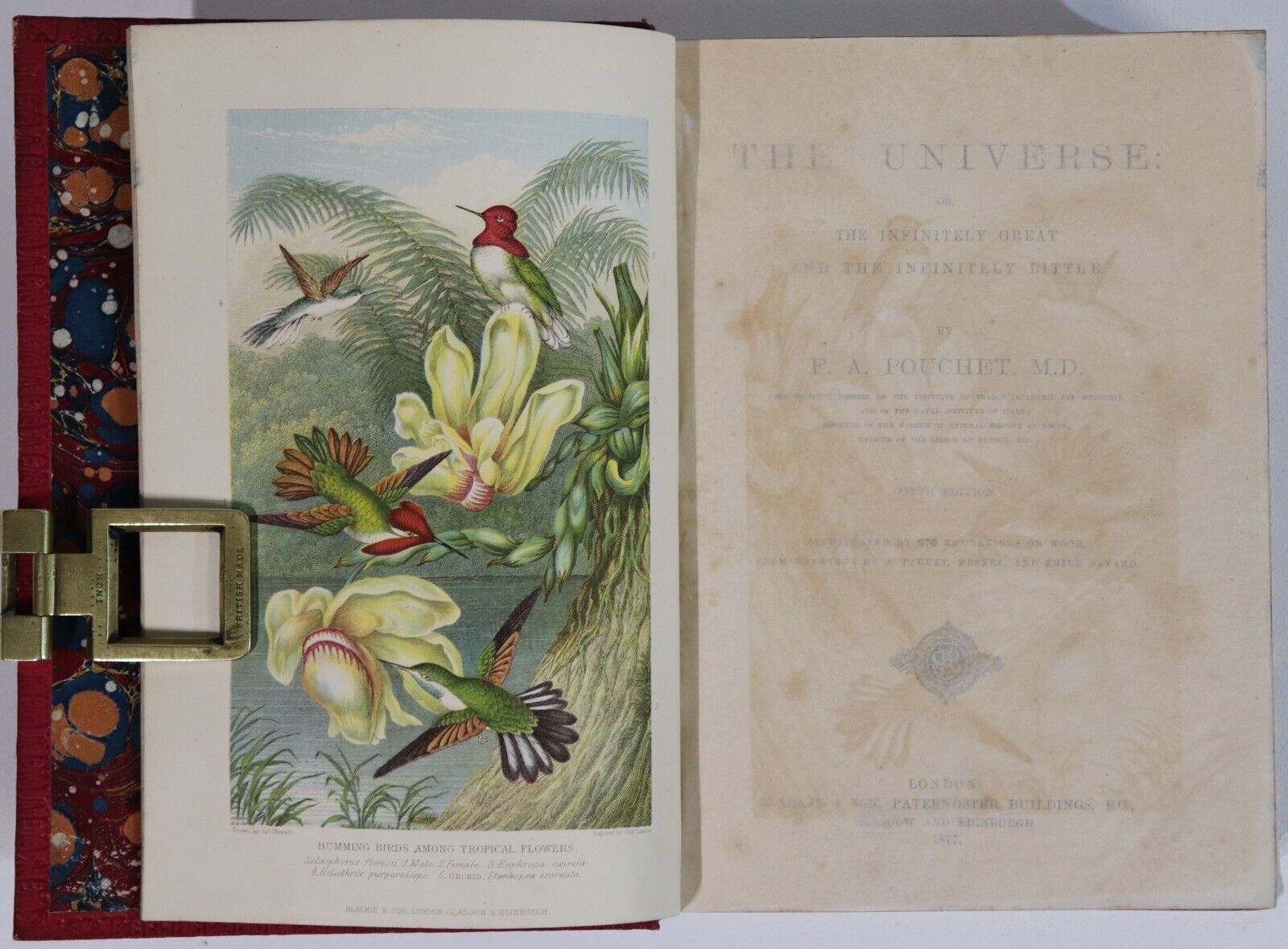 The Universe by F.A. Pouchet - 1877 - Antique Natural History Book