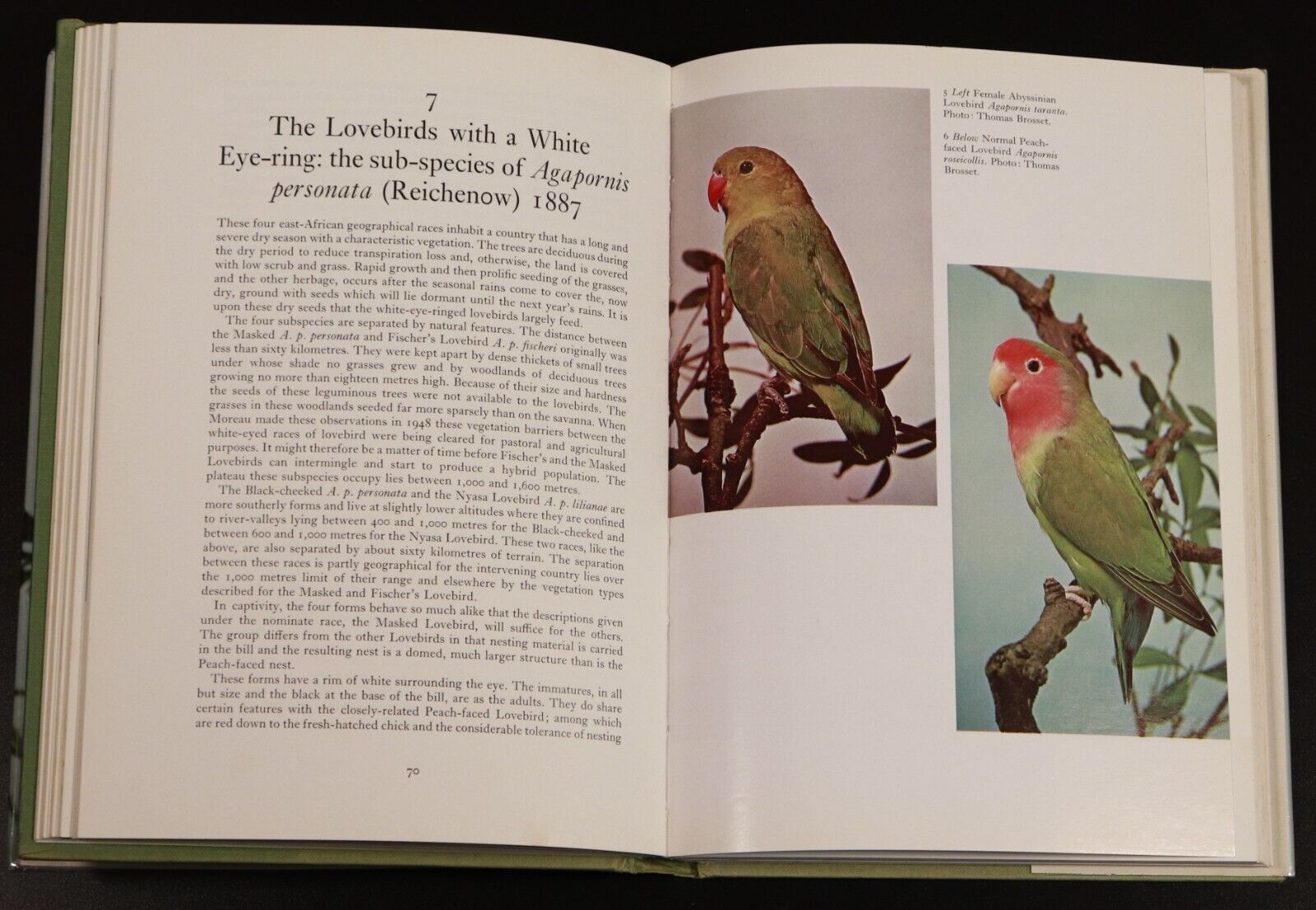 1979 Lovebirds & Related Parrots by George A. Smith Bird Reference Book Signed