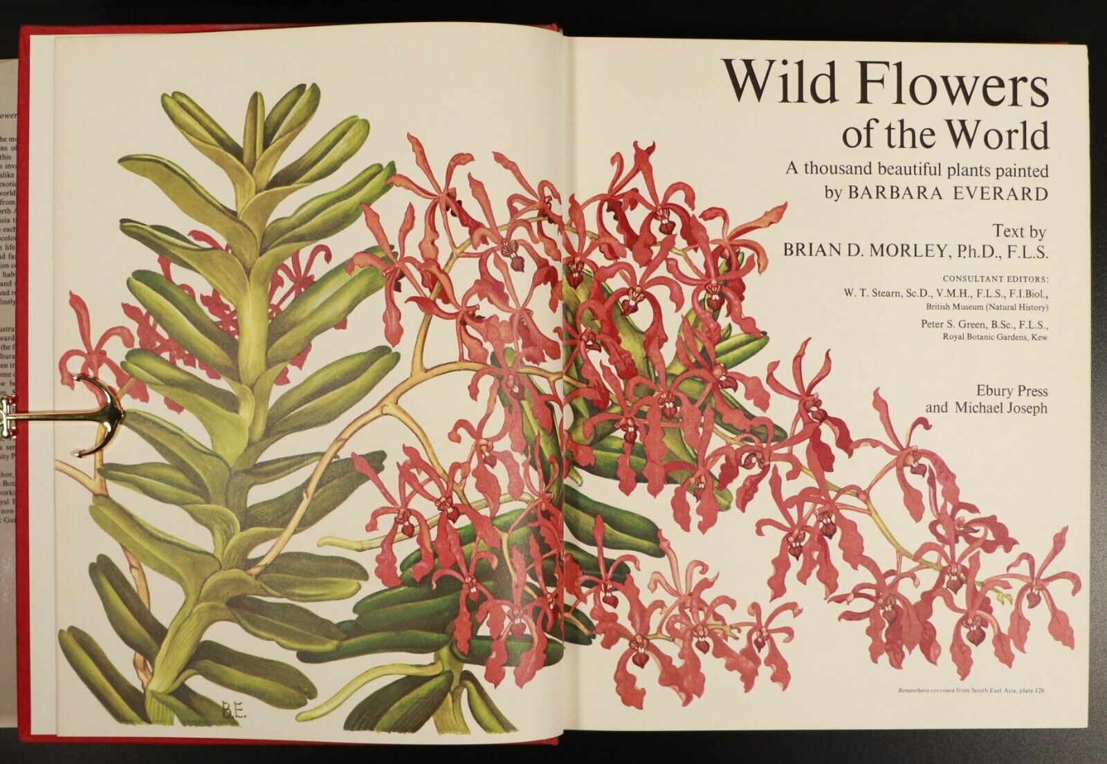 1970 Wild Flowers Of The World Paintings By Barbara Everard Nature Book