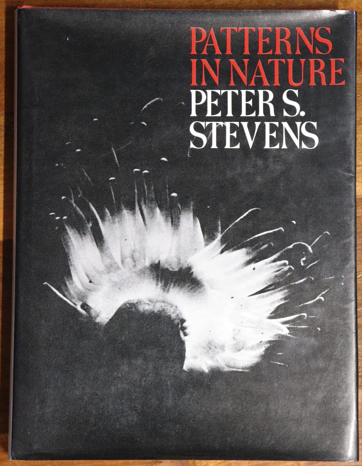 Patterns In Nature by Peter S Stevens - 1974 - 1st Edition Art & Science Book