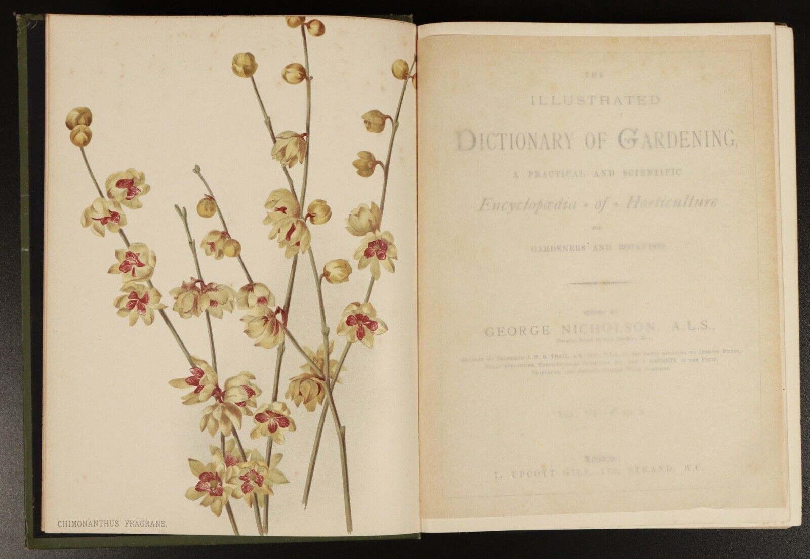 1888 4vol Illustrated Dictionary Of Gardening Antiquarian Gardening Book Set