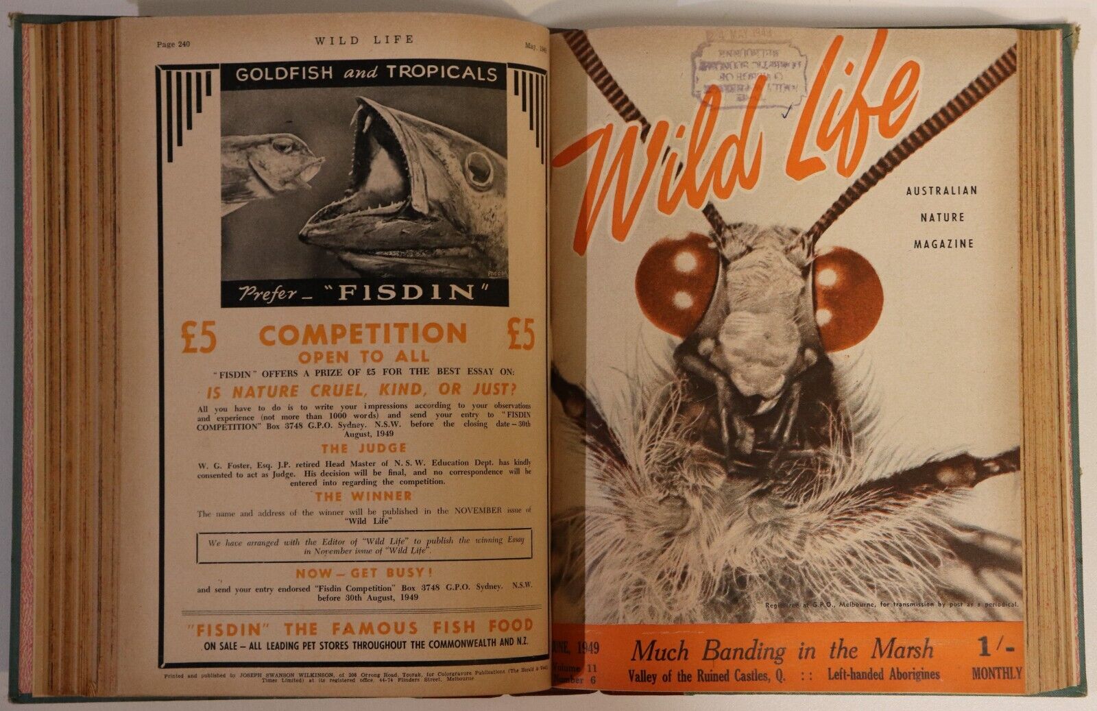 Wildlife: Australian Nature Magazine - 1946 - Antique Natural History Books