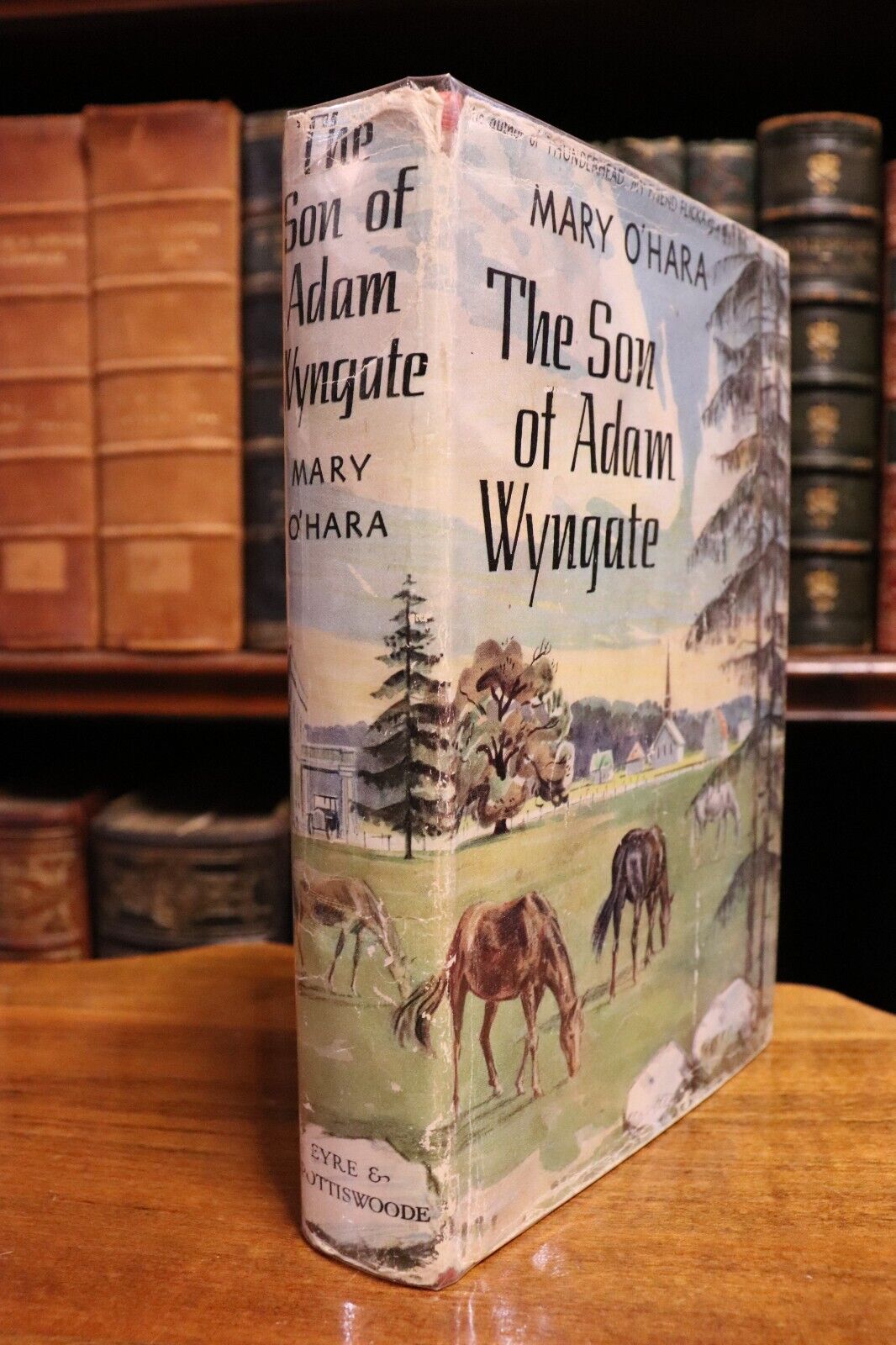 The Son Of Adam Wyngate by Mary O'Hara - 1952 - Vintage Fiction Book