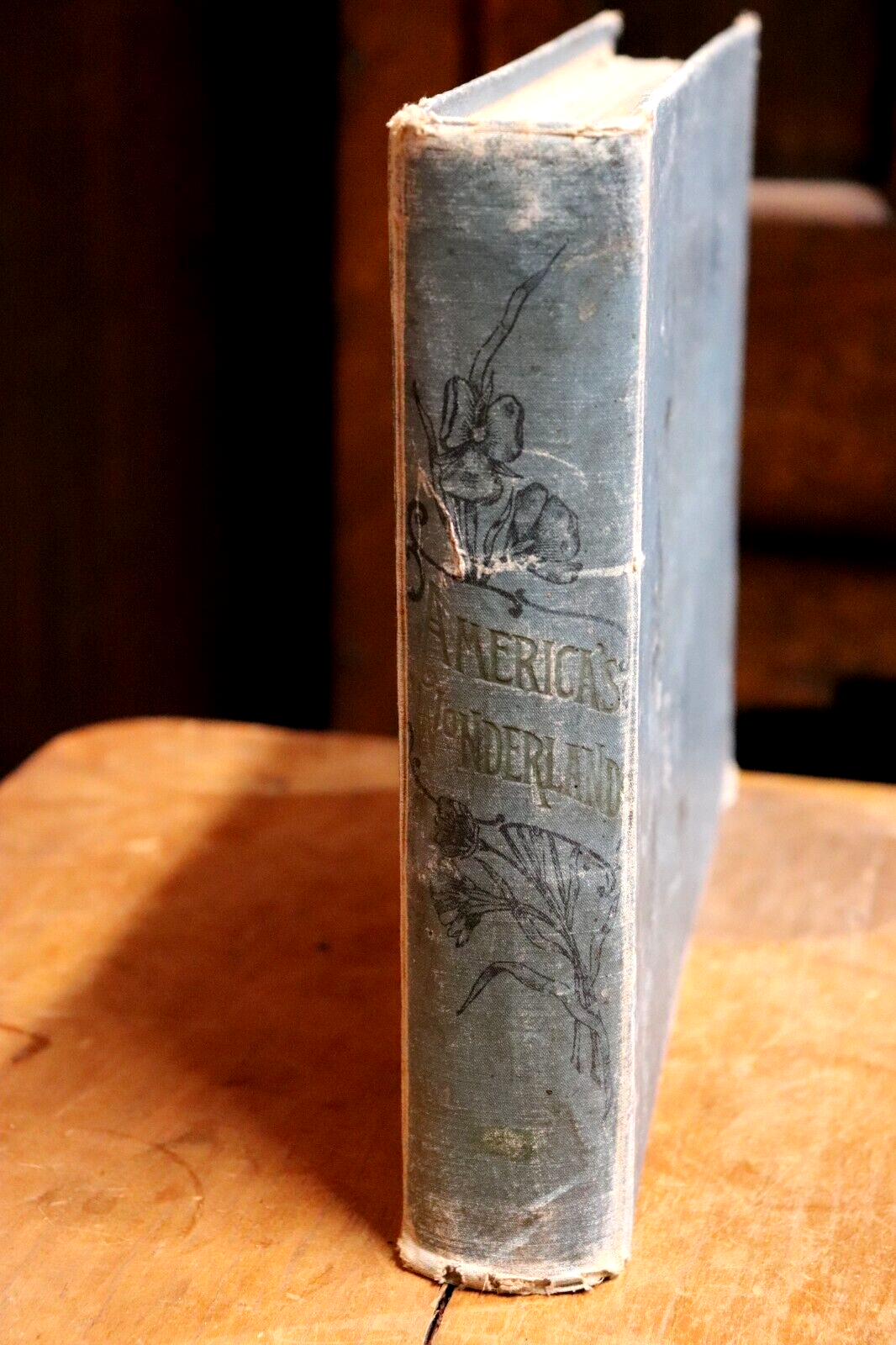 1893 America's Wonderlands by J.W. Buel 1st Edition Antique Book - 0