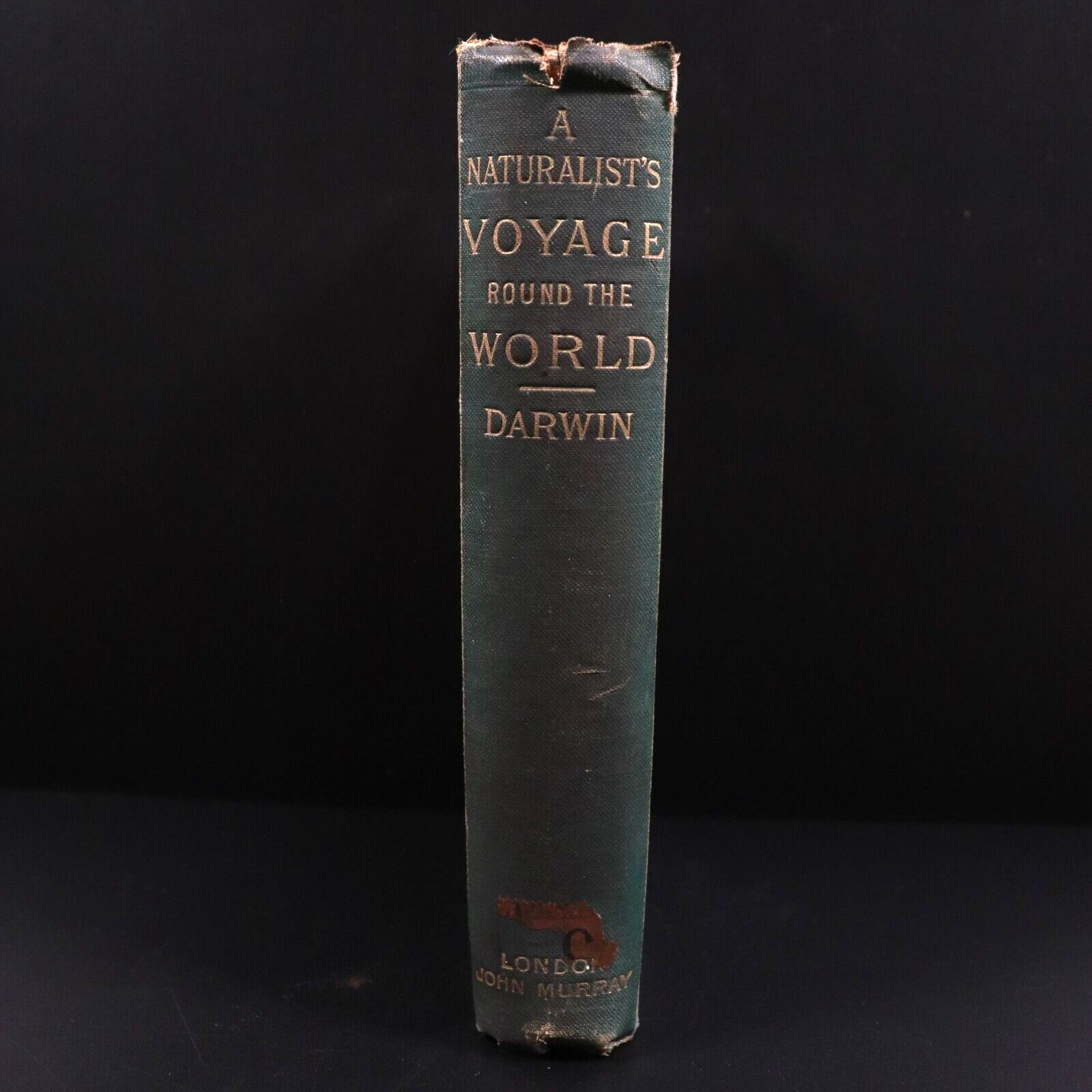 1905 A Naturalist's Voyage Round The World Charles Darwin Natural History Book