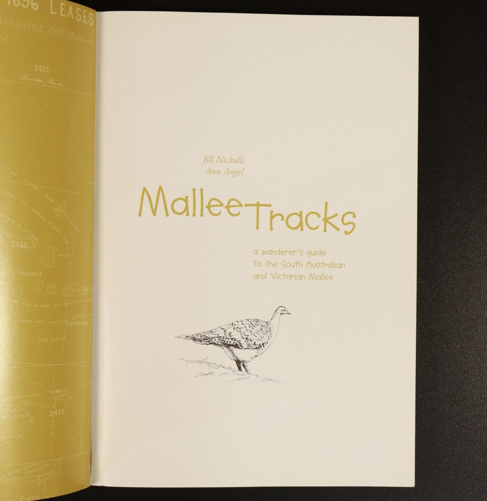 Mallee Tracks A Wanderer's Guide To The South Australian & Victorian Mallee Book