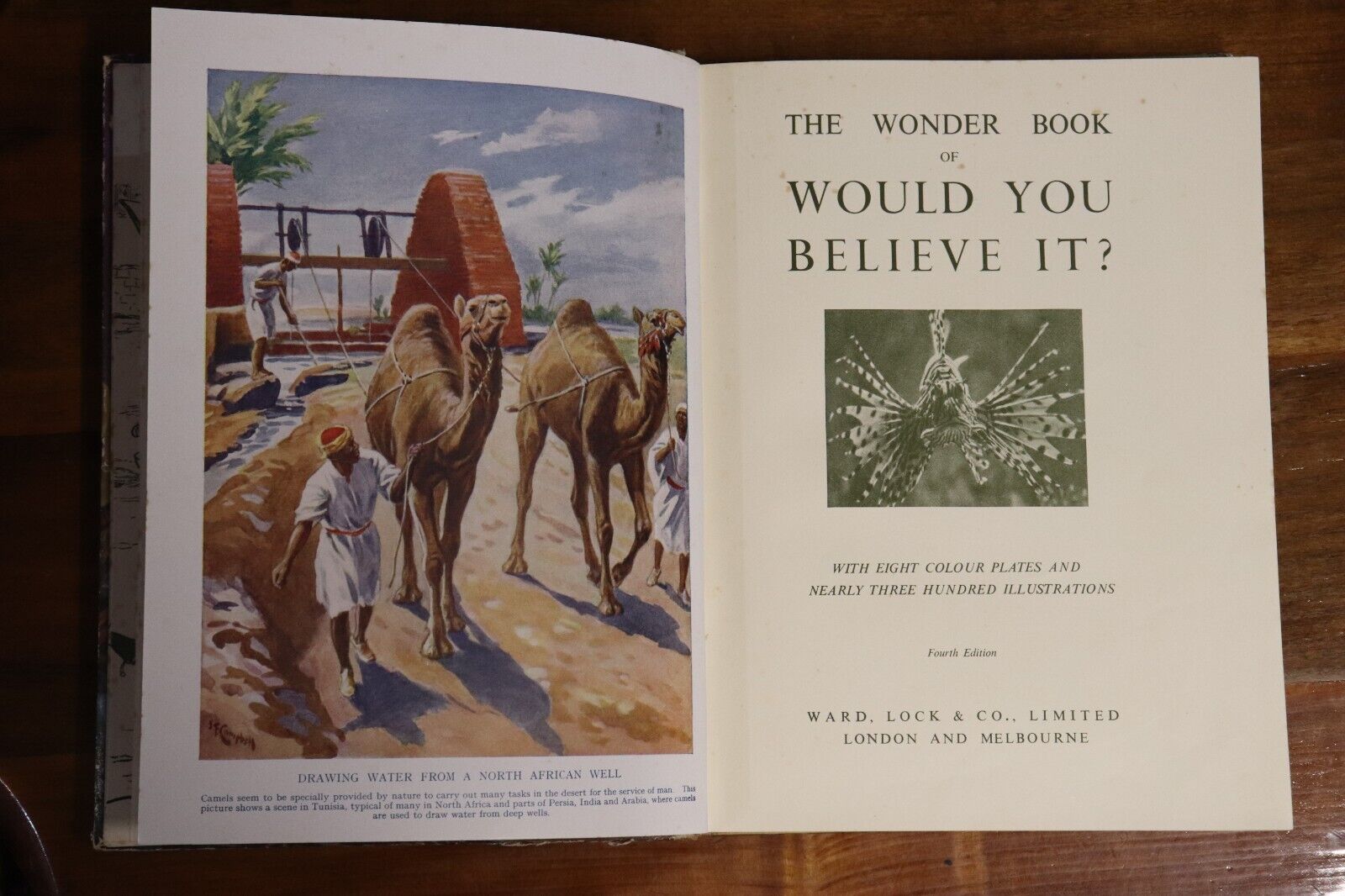 The Wonder Book Of Would You Believe It? - c1949 - Antique Childrens Book