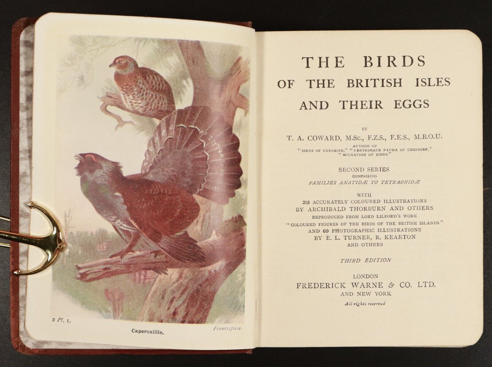 1925 2vol The Birds Of The British Isles & Their Eggs Antiquarian Book Set