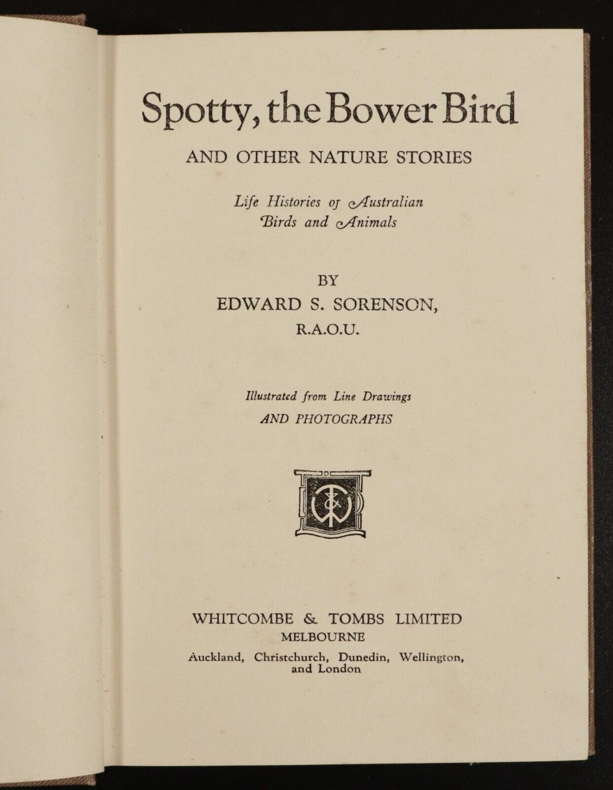 c1921 Spotty The Bower-Bird by E.S. Sorenson Antique Australian Childrens Book