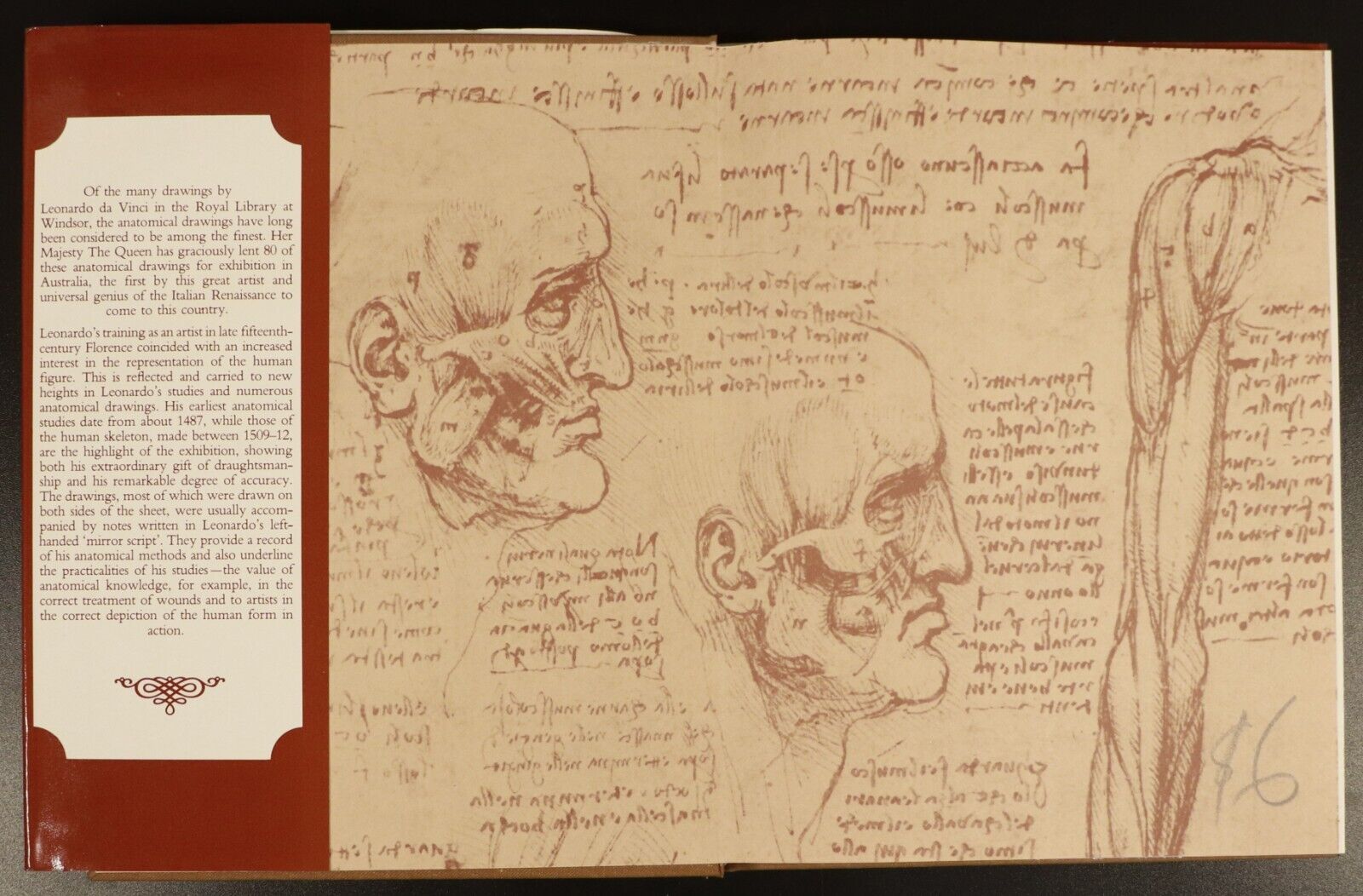 1983 Leonardo Da Vinci Anatomical DrawingsFrom Windsor Castle Art Reference Book - 0