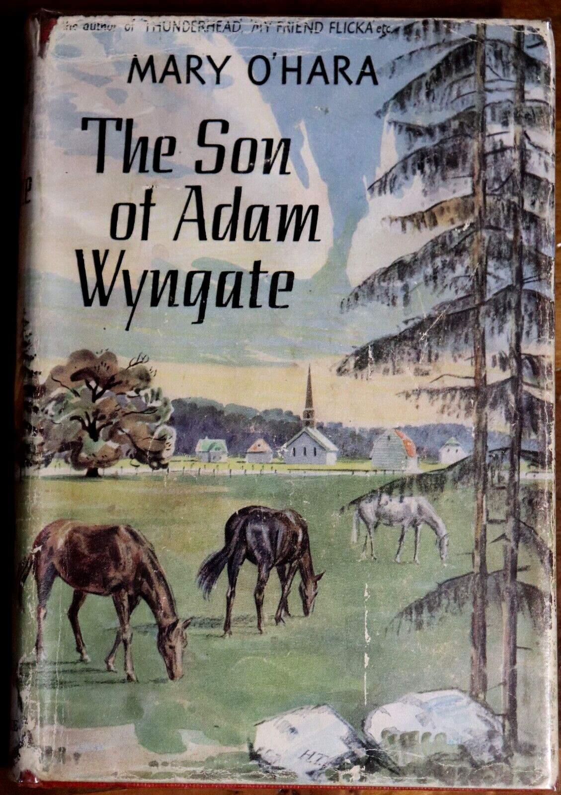 The Son Of Adam Wyngate by Mary O'Hara - 1952 - Vintage Fiction Book