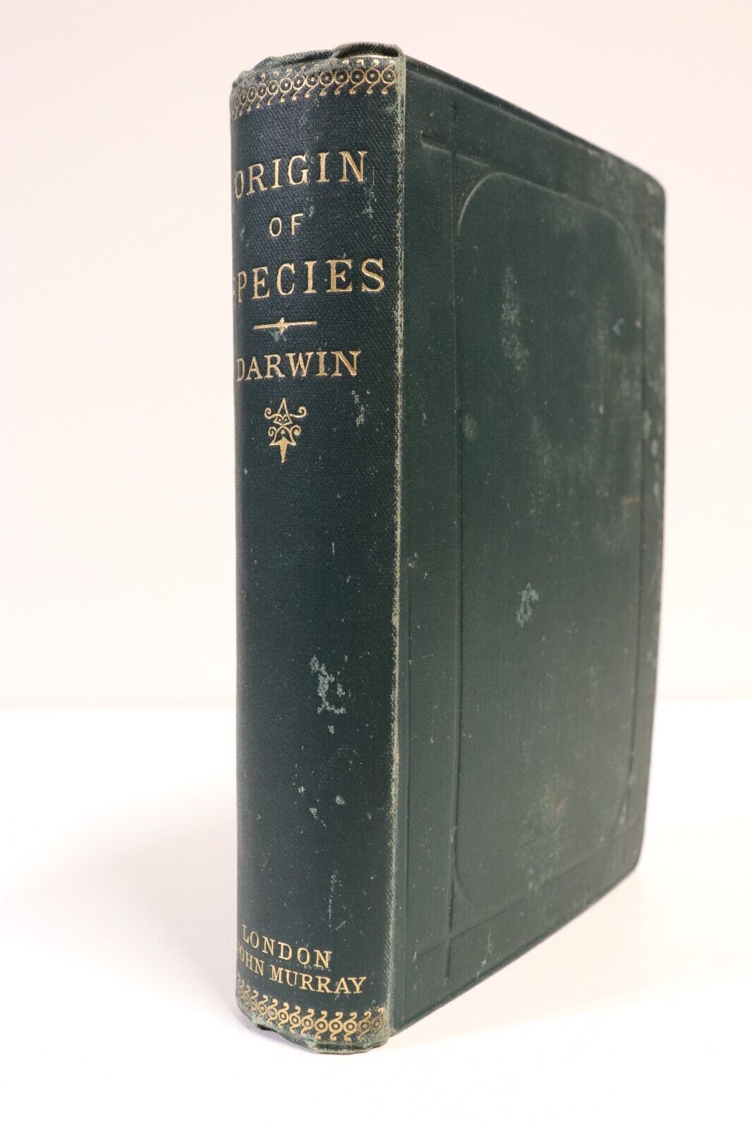 1889 The Origin Of Species by Charles Darwin Antiquarian Natural History Book