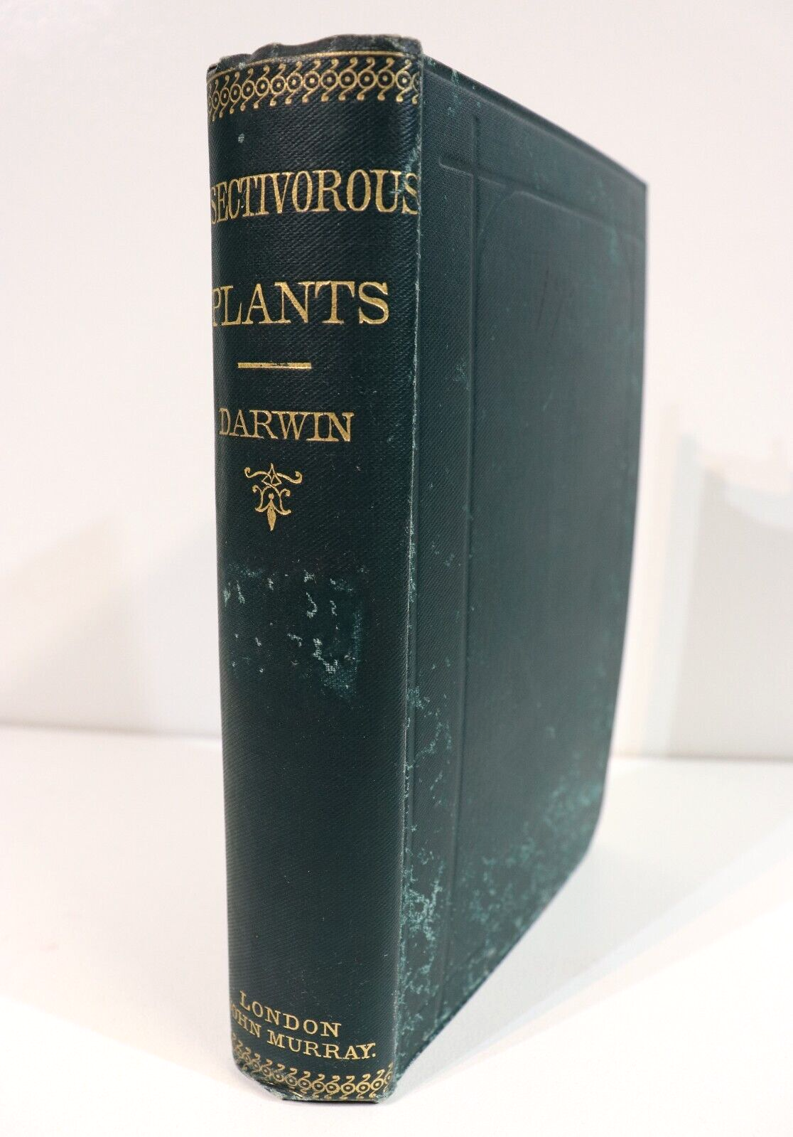 Insectivorous Plants by Charles Darwin - 1888 - Antique Natural History Book