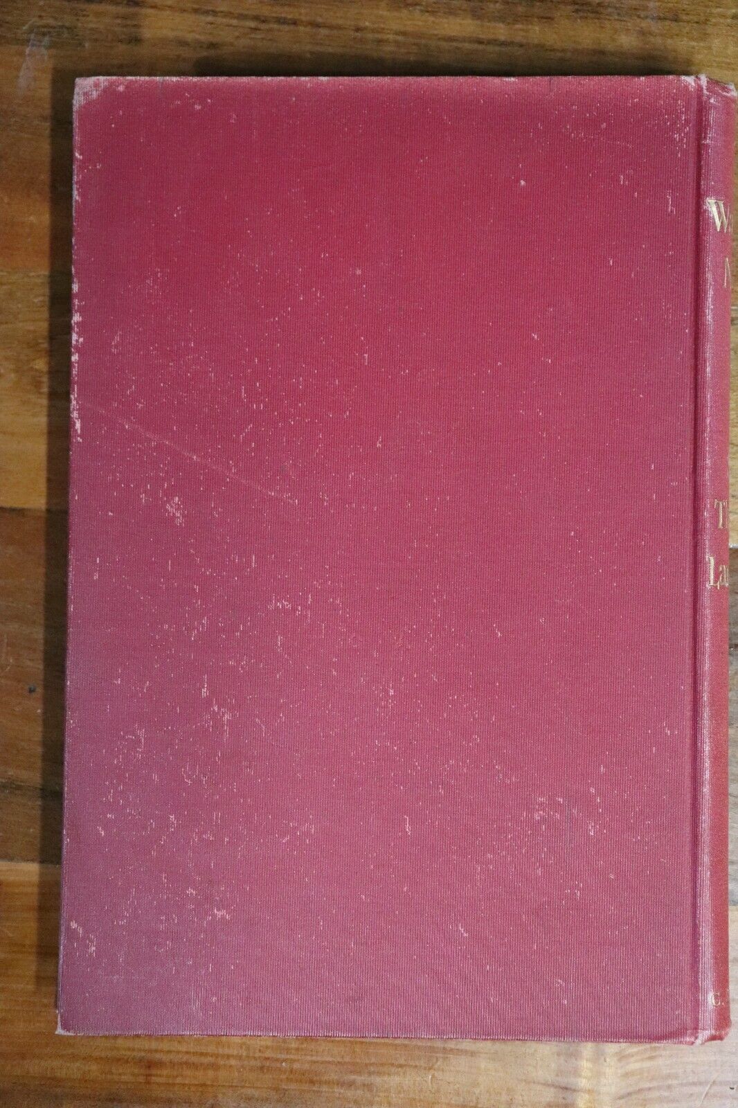 The Bride Of Lammermoor by Sir Walter Scott - c1890 - Antique Literature Book