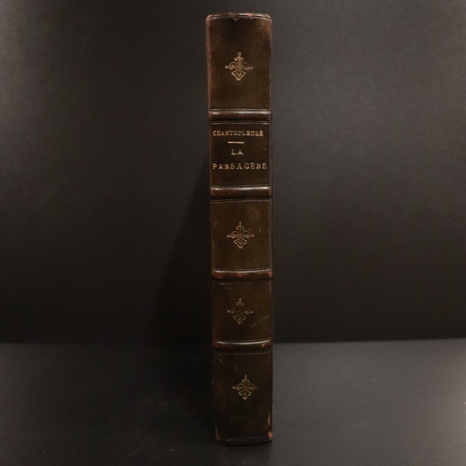 1911 La Passagere by Guy Chantepleure Antiquarian French Fiction Book