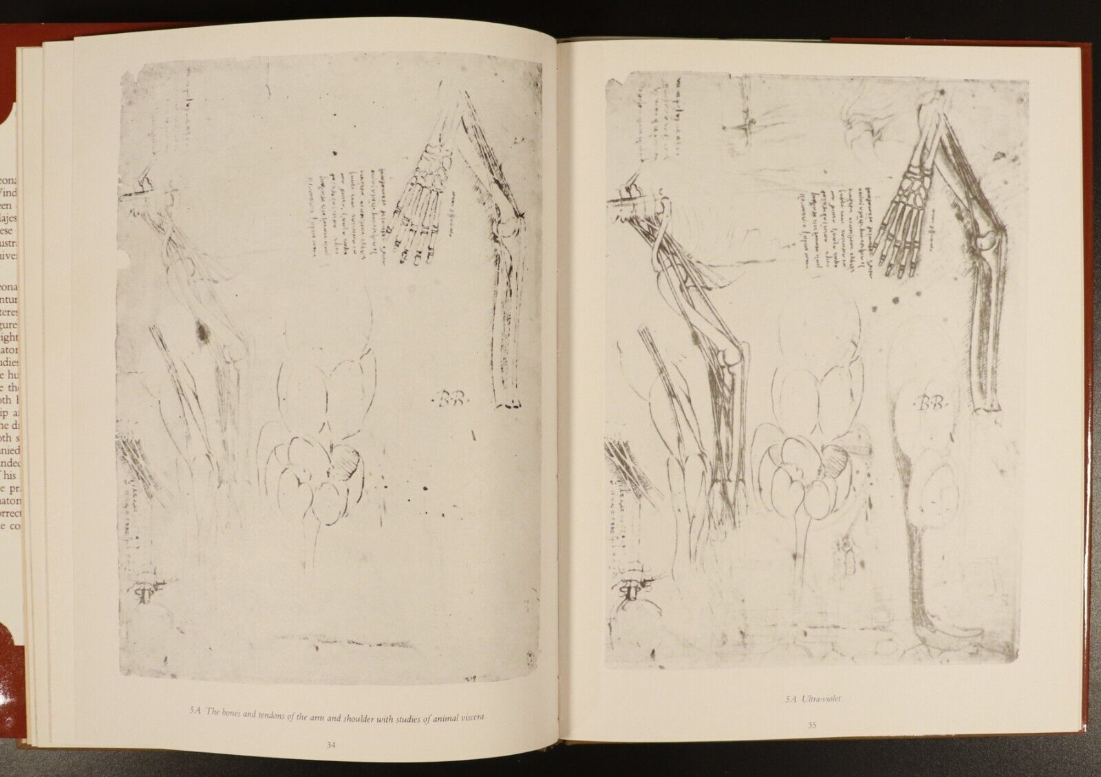 1983 Leonardo Da Vinci Anatomical DrawingsFrom Windsor Castle Art Reference Book