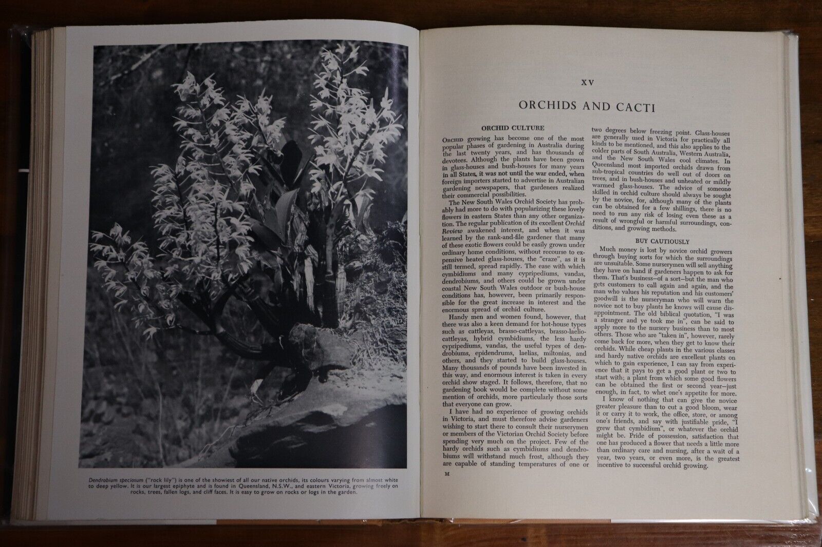 The Australian Garden Book by RG Edwards - 1958 - Gardening Reference Book