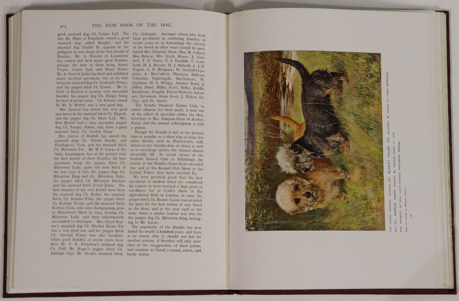 Cassell's New Book Of The Dog - c1912 - Antique Dog Reference Books