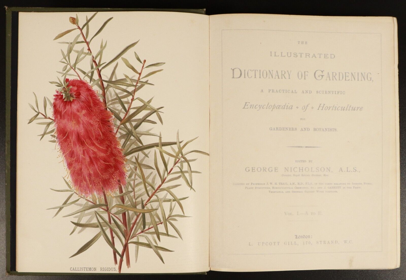 1888 4vol Illustrated Dictionary Of Gardening Antiquarian Gardening Book Set - 0