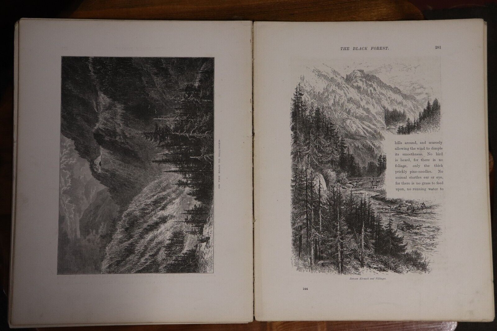 Picturesque Europe - Division 16 - c1875 - Rare Antiquarian Engravings Book