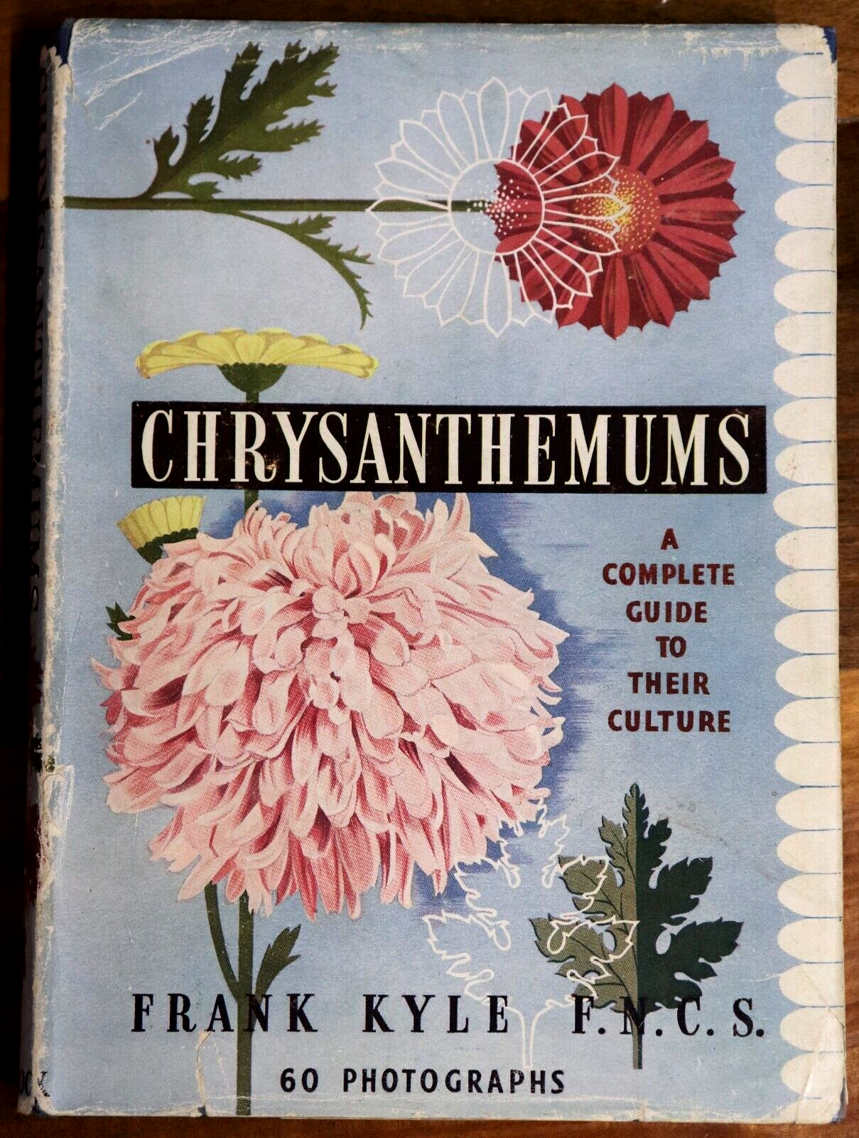 Chrysanthemums by Frank Kyle - 1952 - 1st Edition Gardening Reference Book