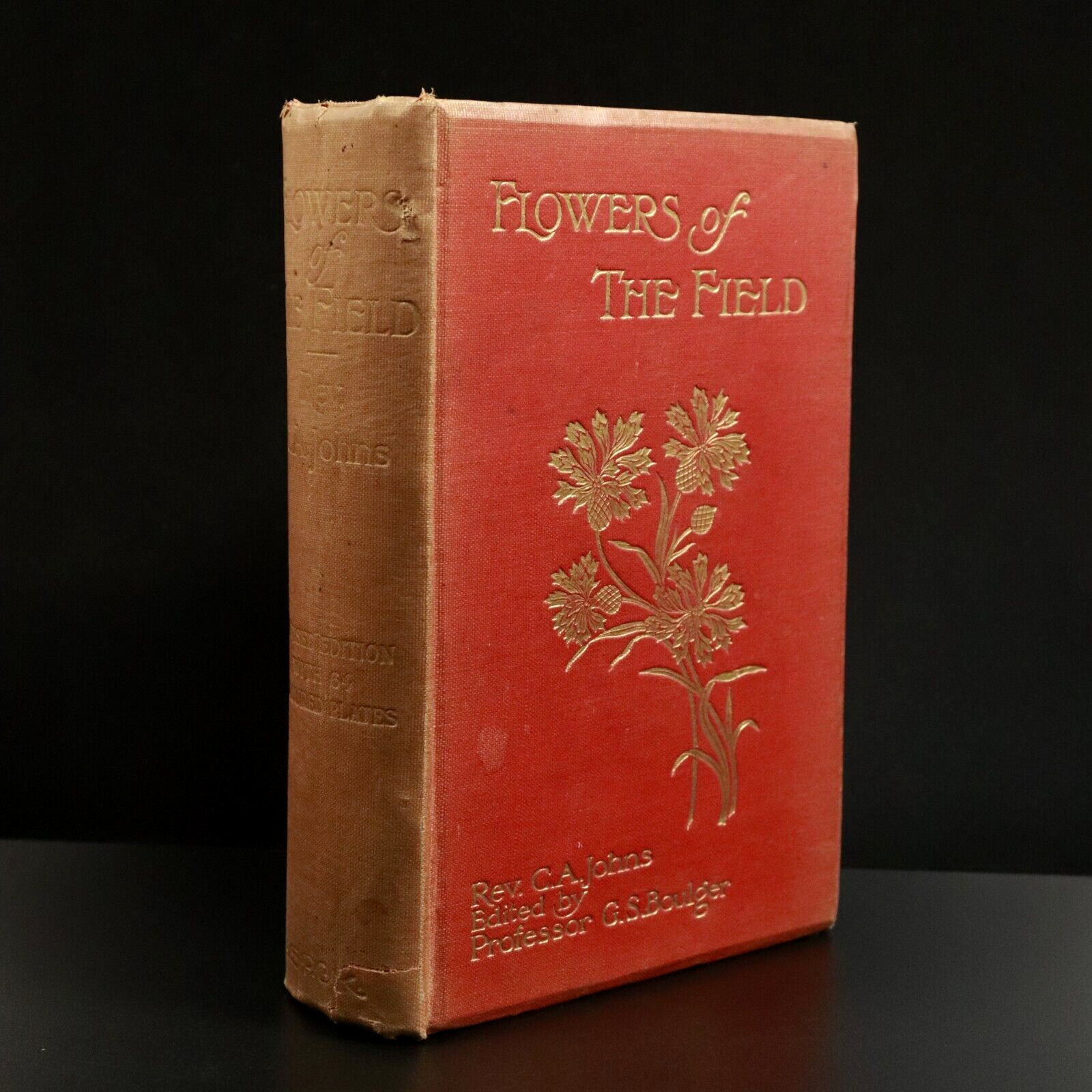 1911 Flowers Of The Field by C.A Johns Antique Flora Reference Book
