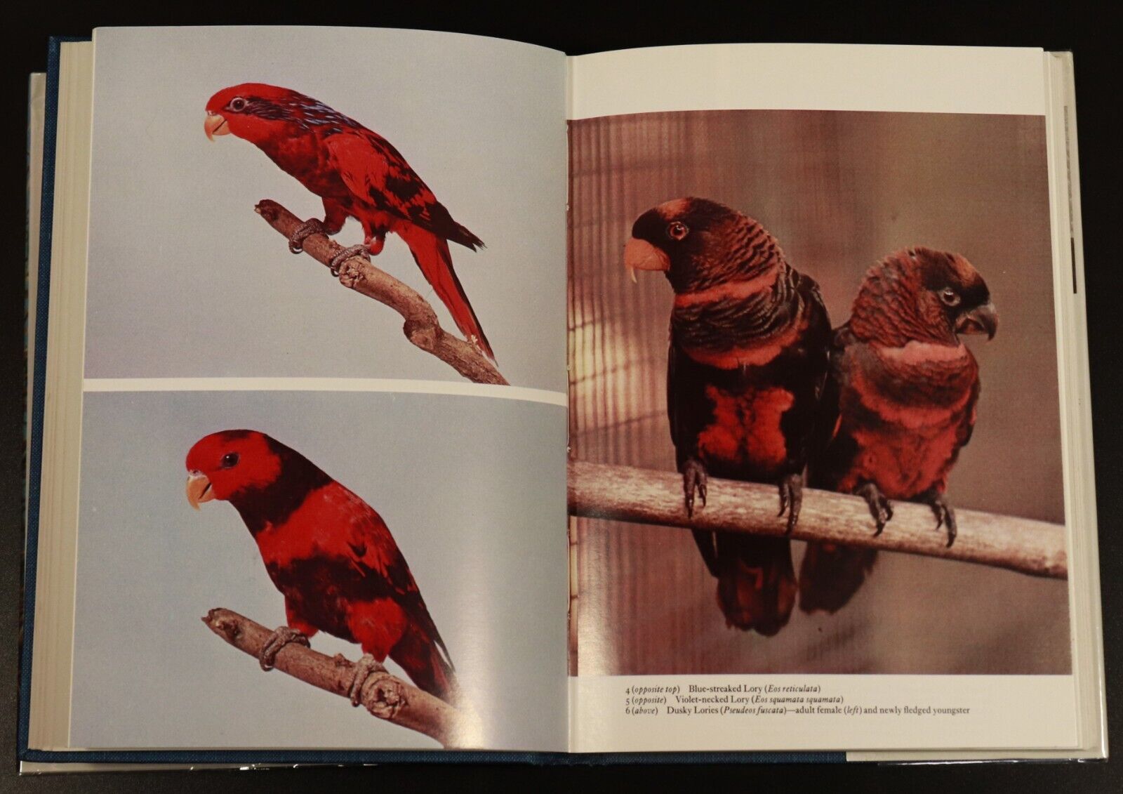 1978 Lories & Lorikeets by Rosemary Low Bird Reference Book Signed 1st Edition