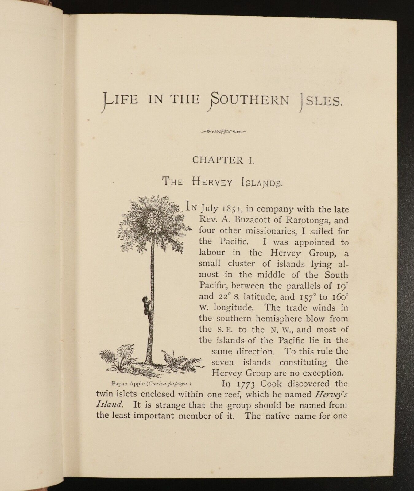 1876 Life In The Southern Isles South Pacific & New Guinea Travel History Book