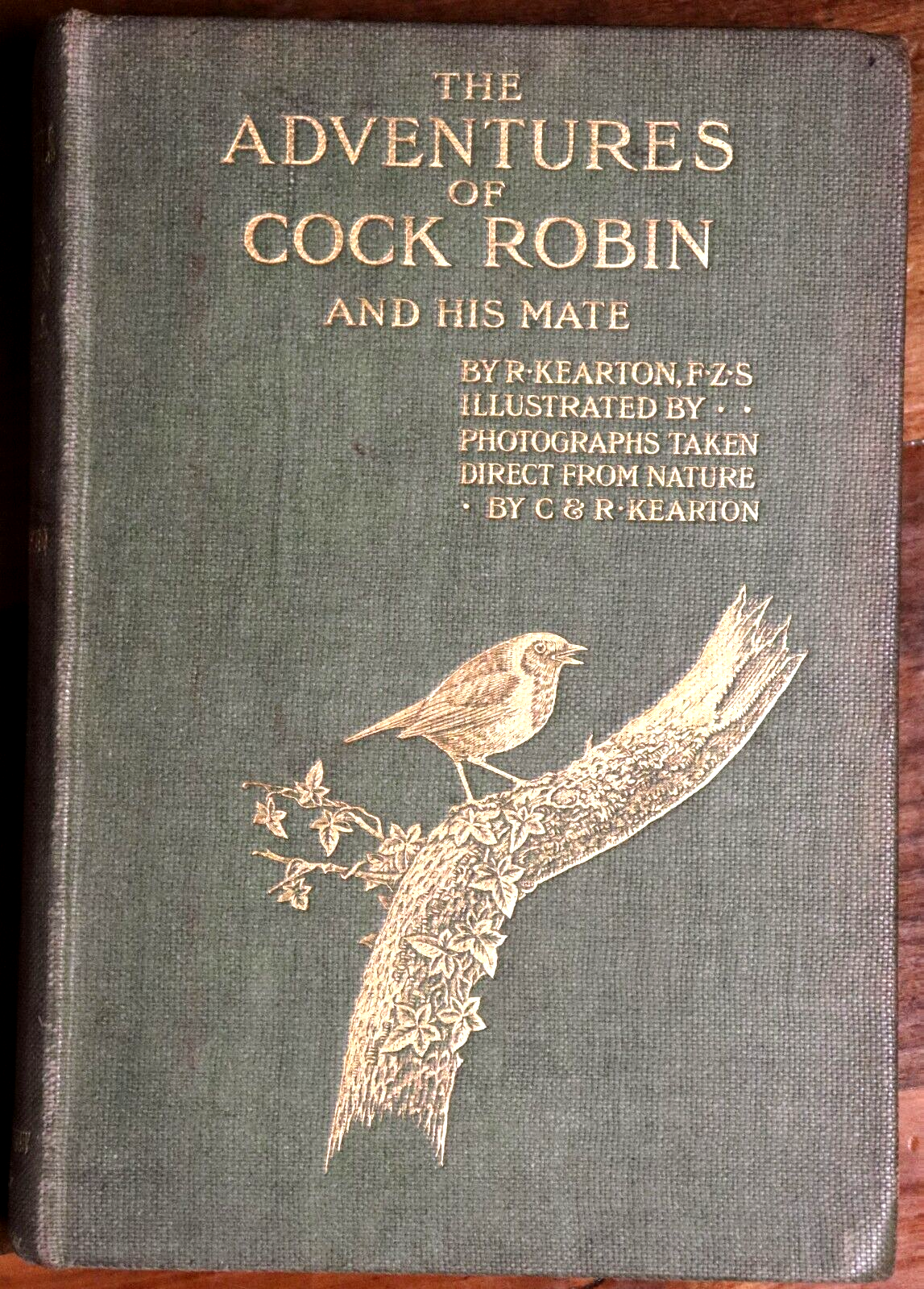 The Adventures Of Cock Robin & His Mate - 1904 - 1st Ed. Childrens Story Book