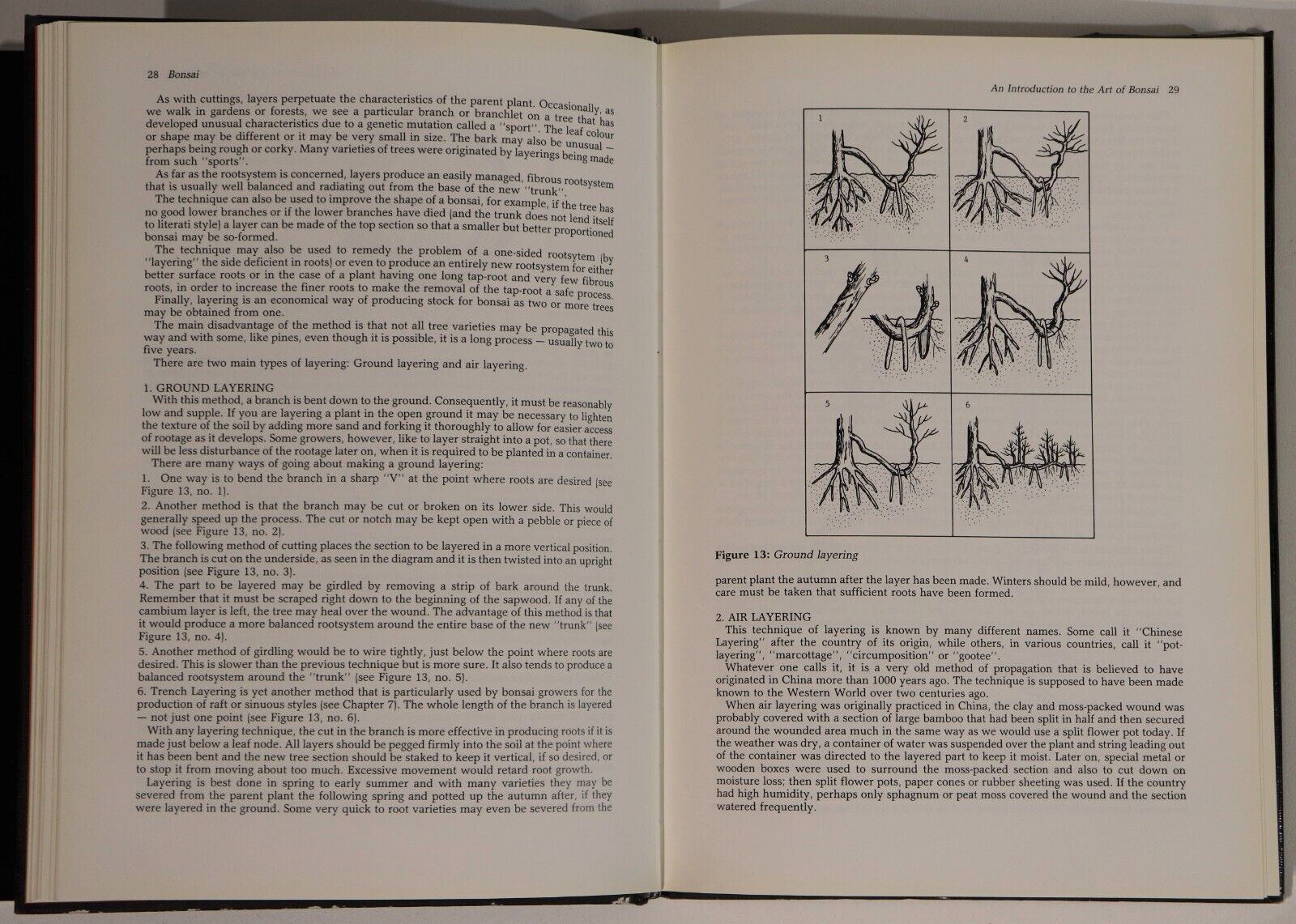Bonsai: Art, Science, History & Philosophy - 1988 - Natural History Book