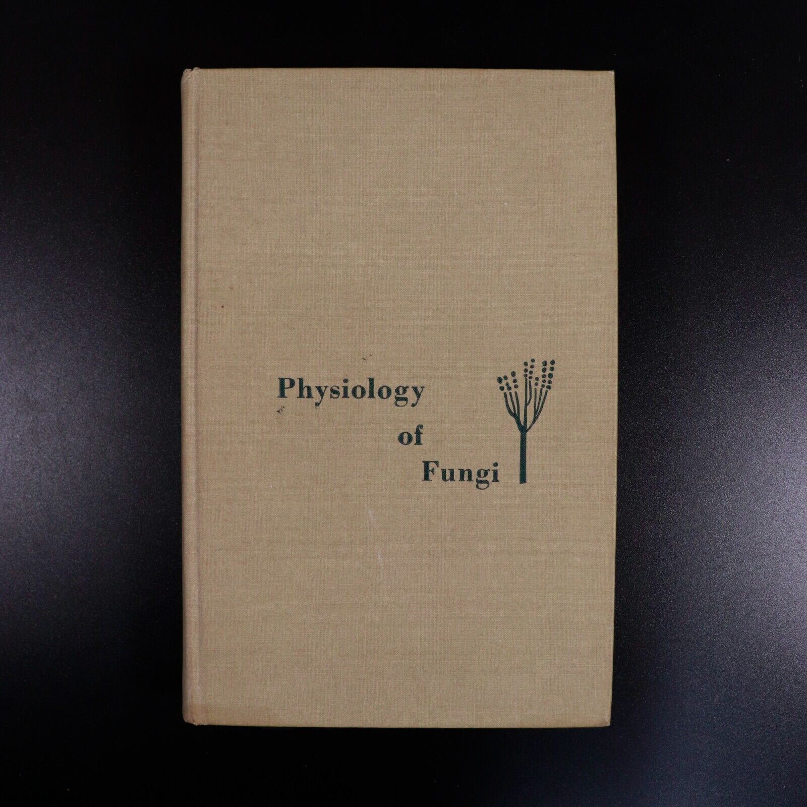 1963 Physiology Of Fungi by Vincent W. Cochrane Natural History Book Science