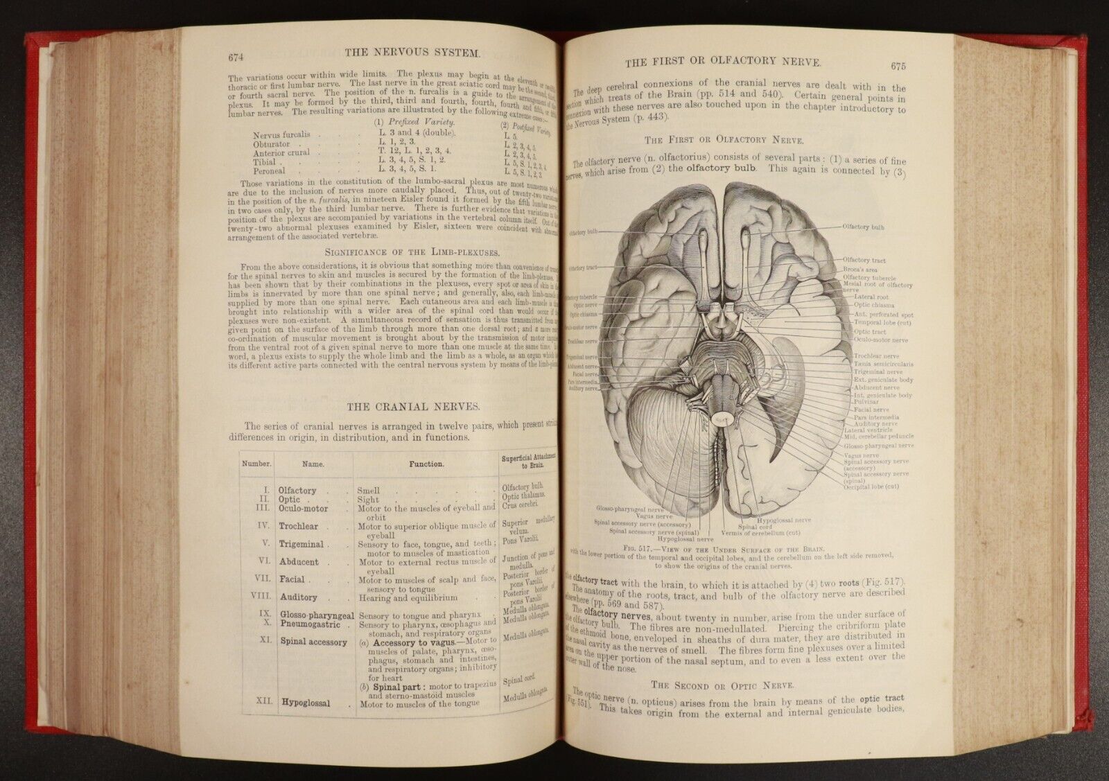 1909 Text-Book Of Anatomy by D.J. Cunningham Antique Medical Reference Book
