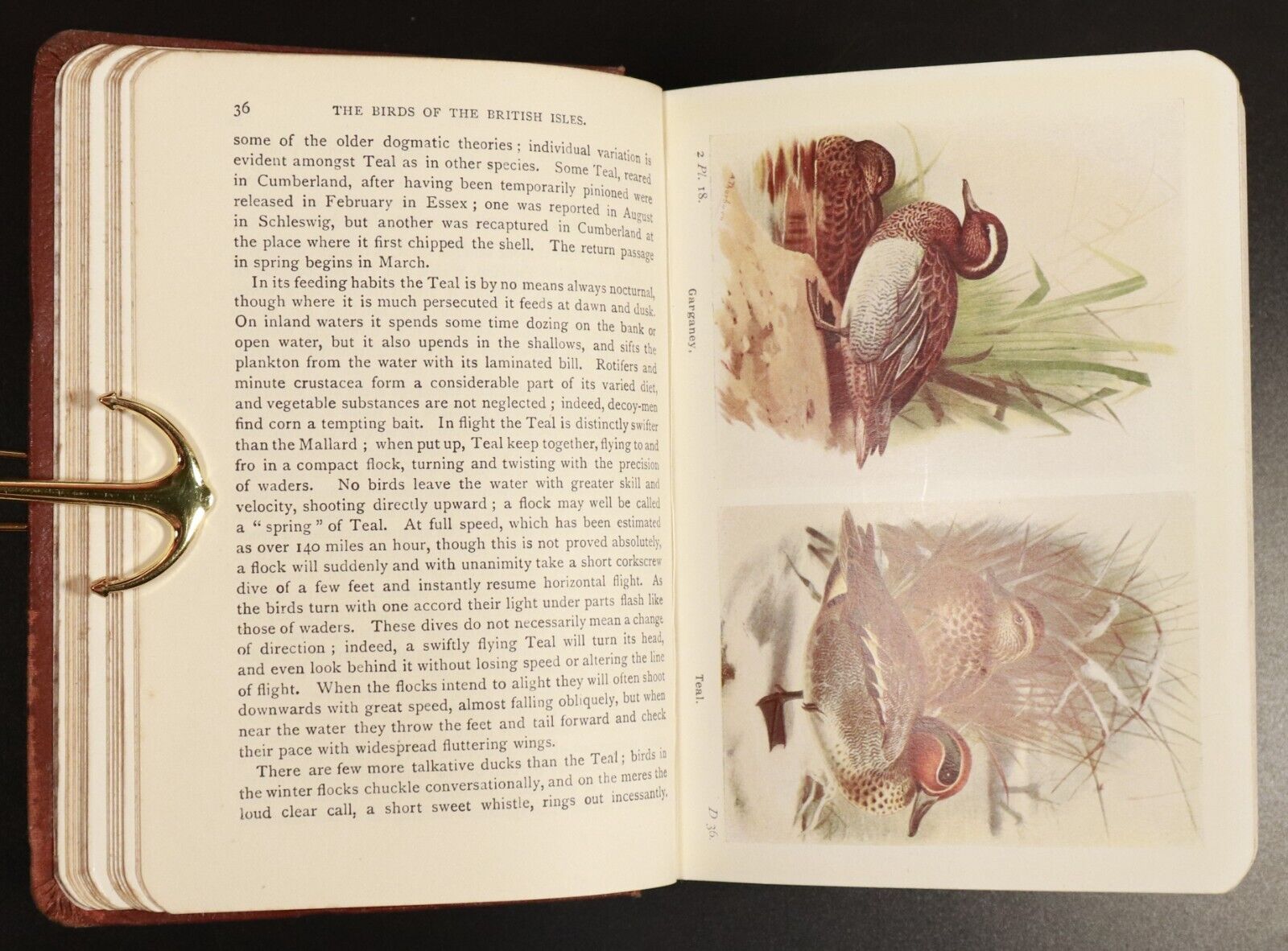 1925 2vol The Birds Of The British Isles & Their Eggs Antiquarian Book Set