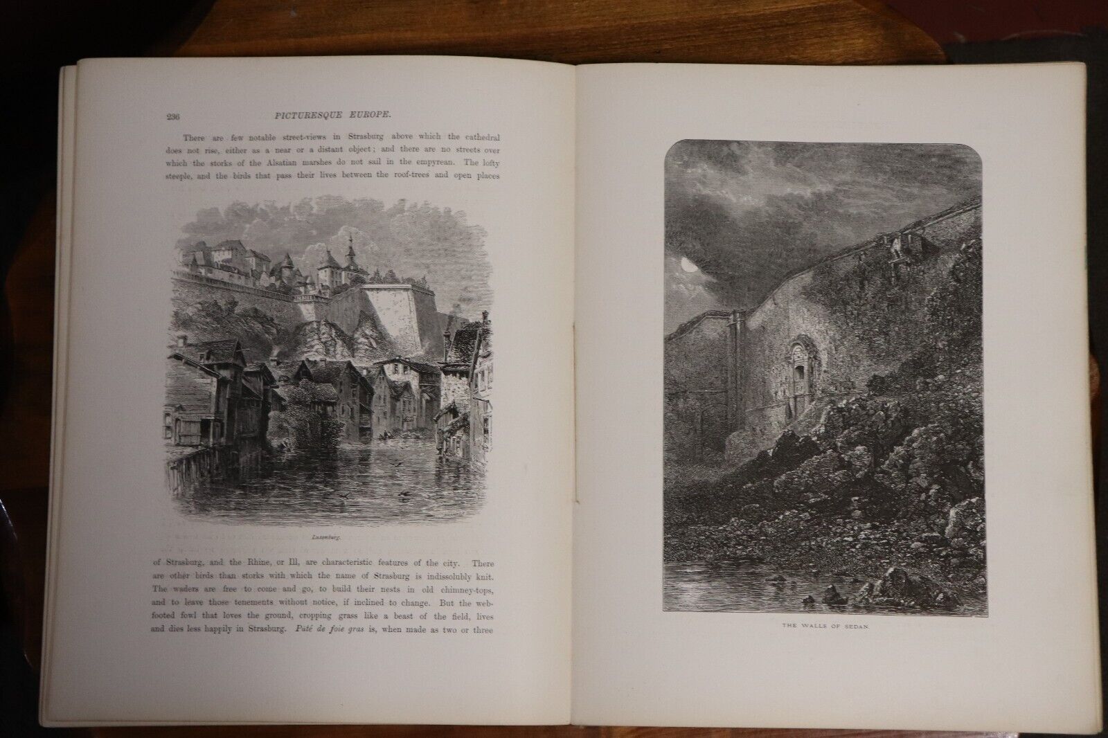 Picturesque Europe - Division 16 - c1875 - Rare Antiquarian Engravings Book