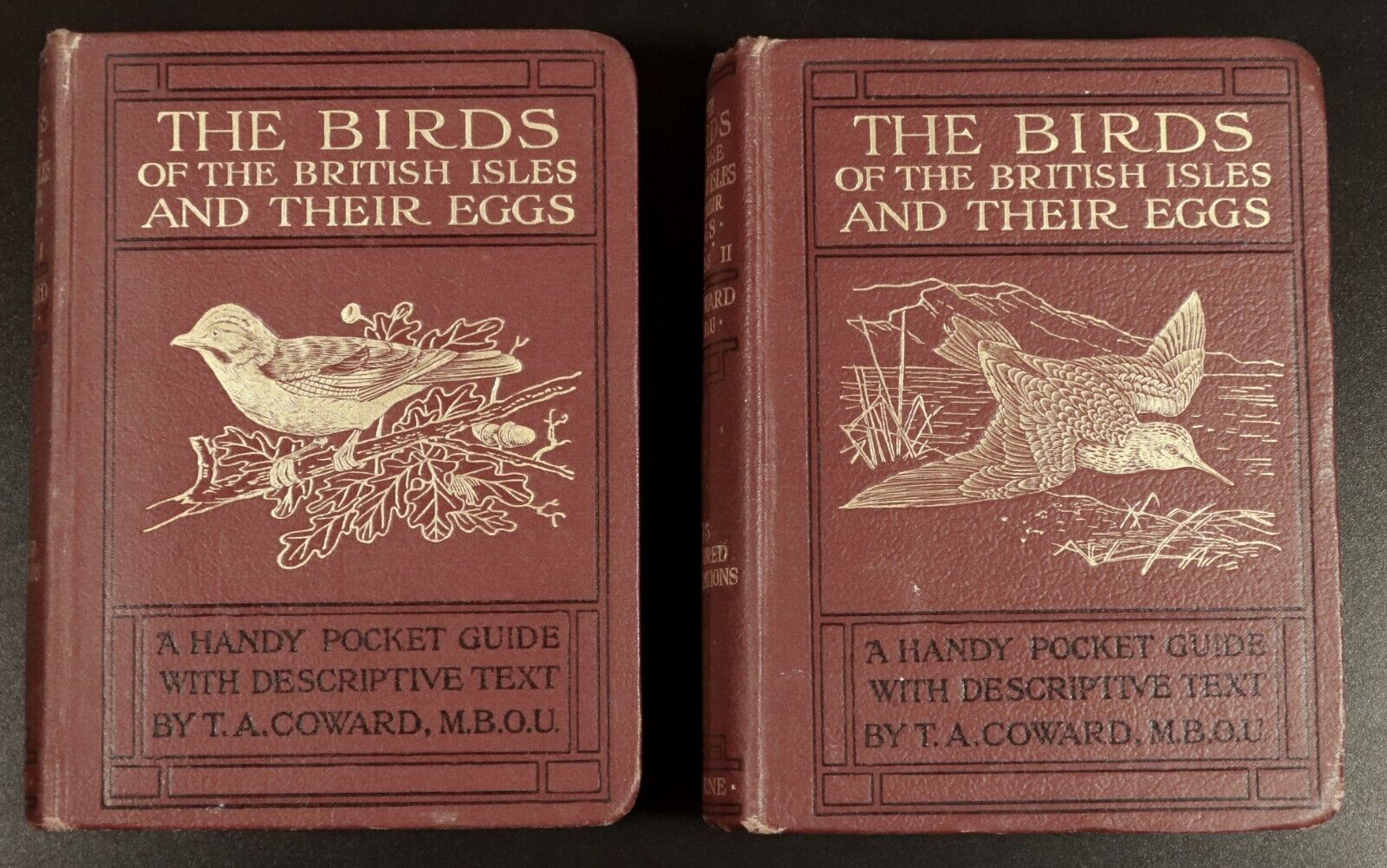 1925 2vol The Birds Of The British Isles & Their Eggs Antiquarian Book Set